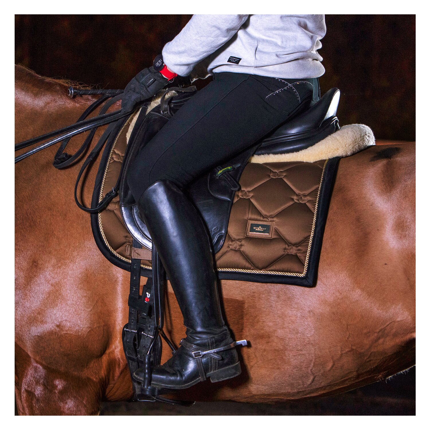 POLAR Tracker H10 HR für Pferde – Ansicht 7