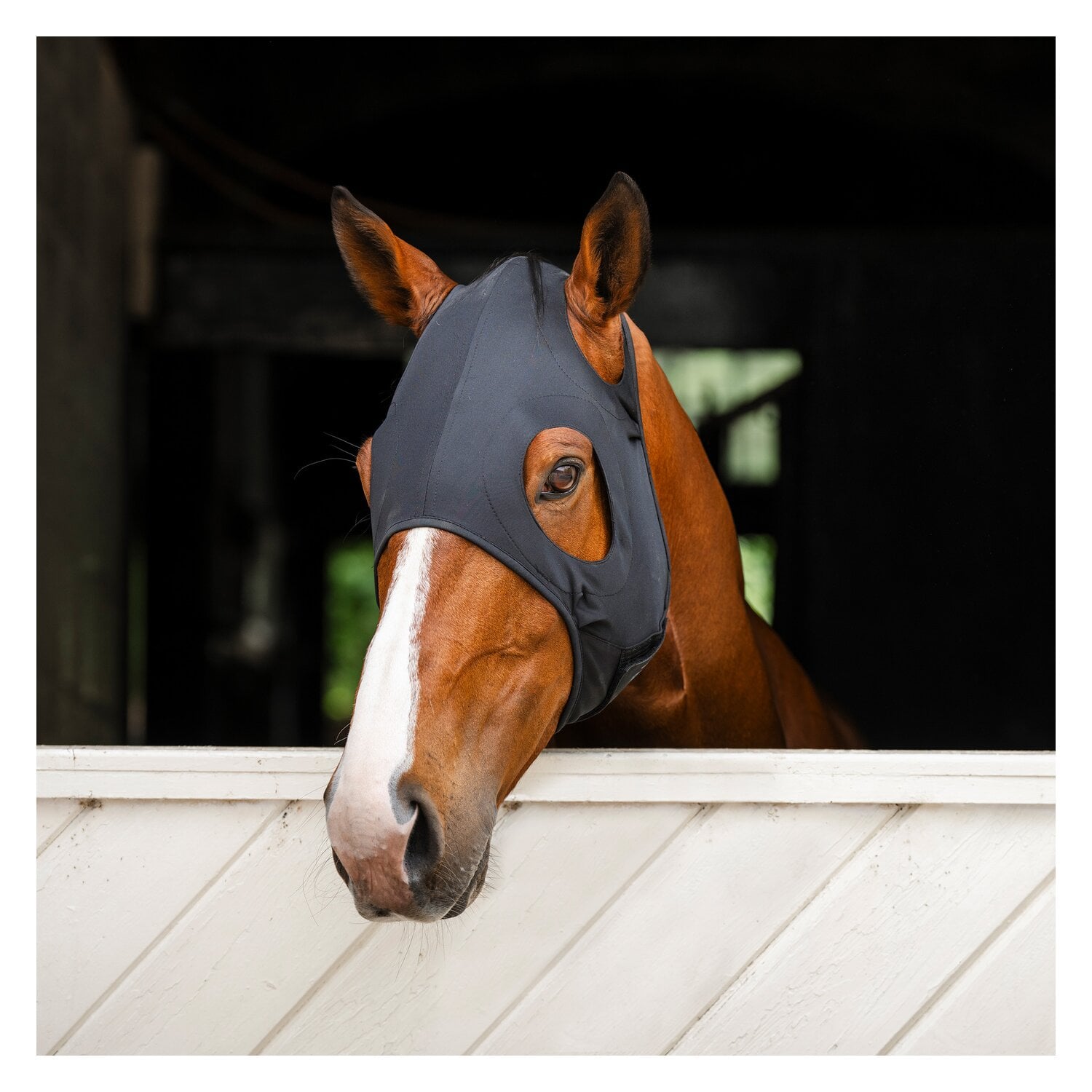 HORSEWARE Gesichtsmaske Ionic Calming Face Mask &ndash; Ansicht 1