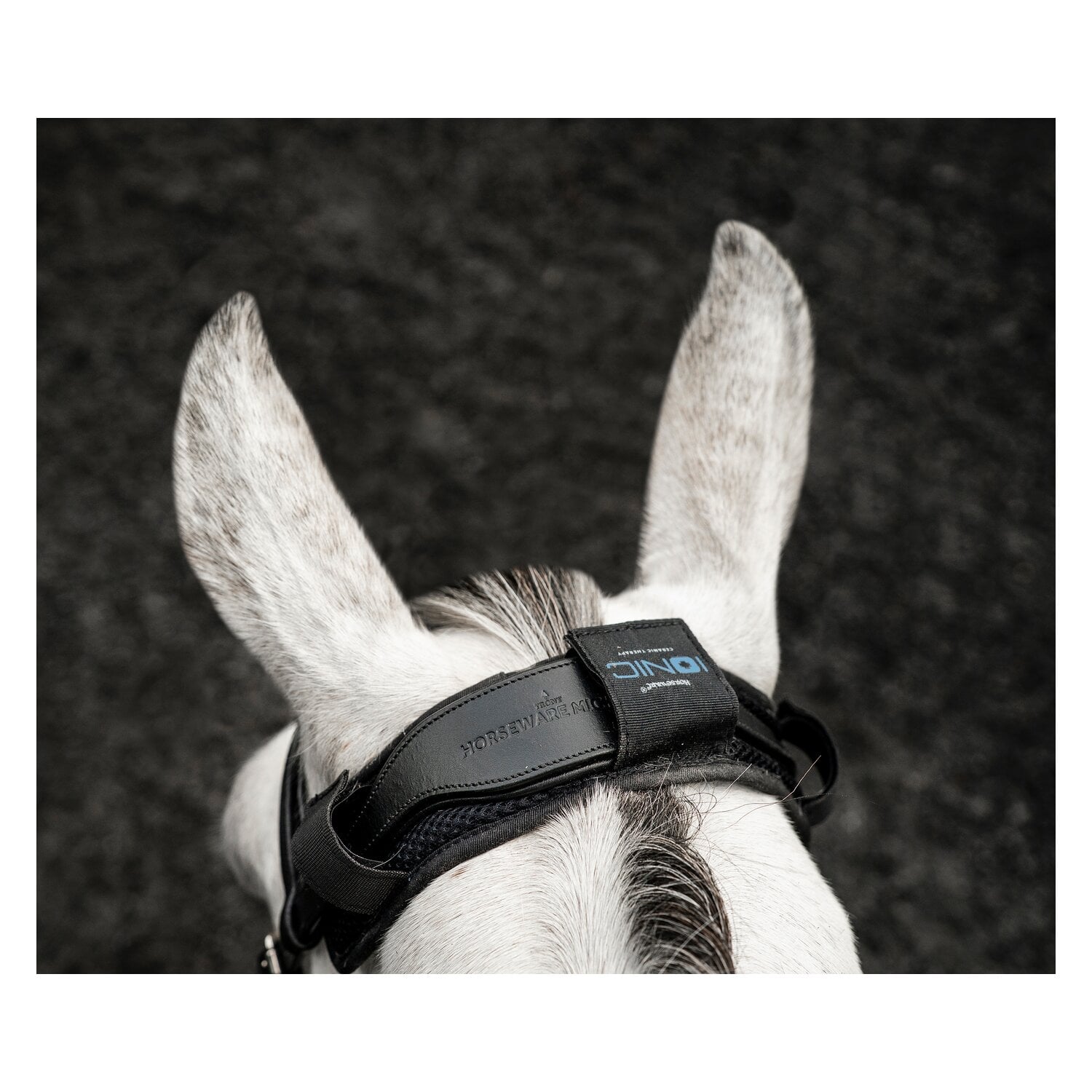 HORSEWARE Ionic Poll Cover &ndash; Ansicht 1