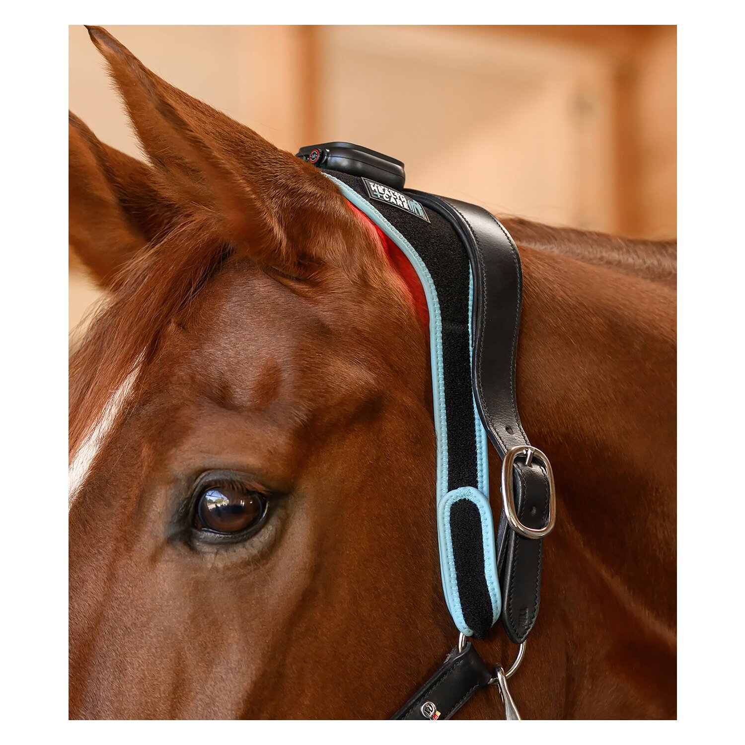 WALDHAUSEN Health + Care Infrared FlexPad &ndash; Ansicht 4