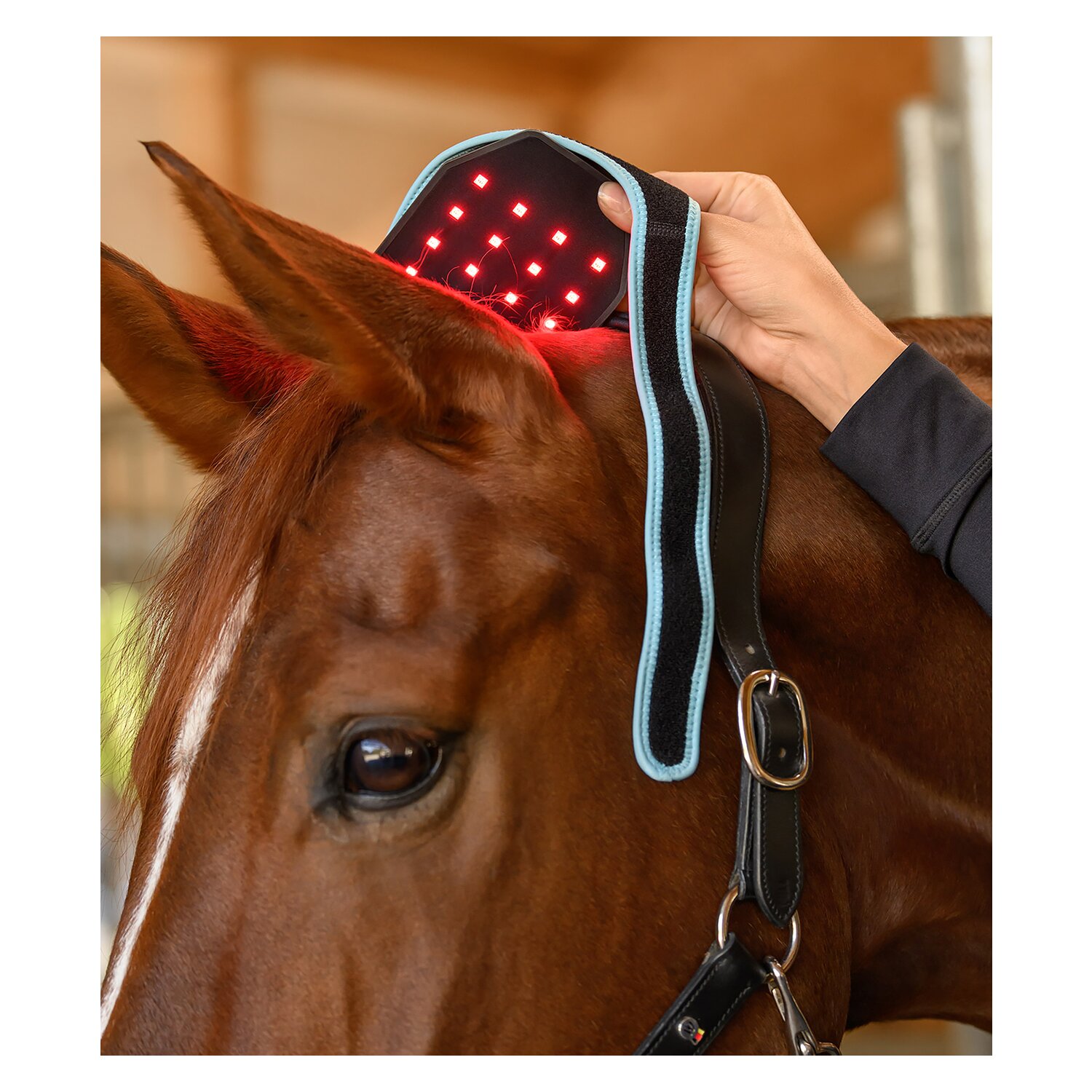 WALDHAUSEN Health + Care Infrared FlexPad &ndash; Ansicht 5