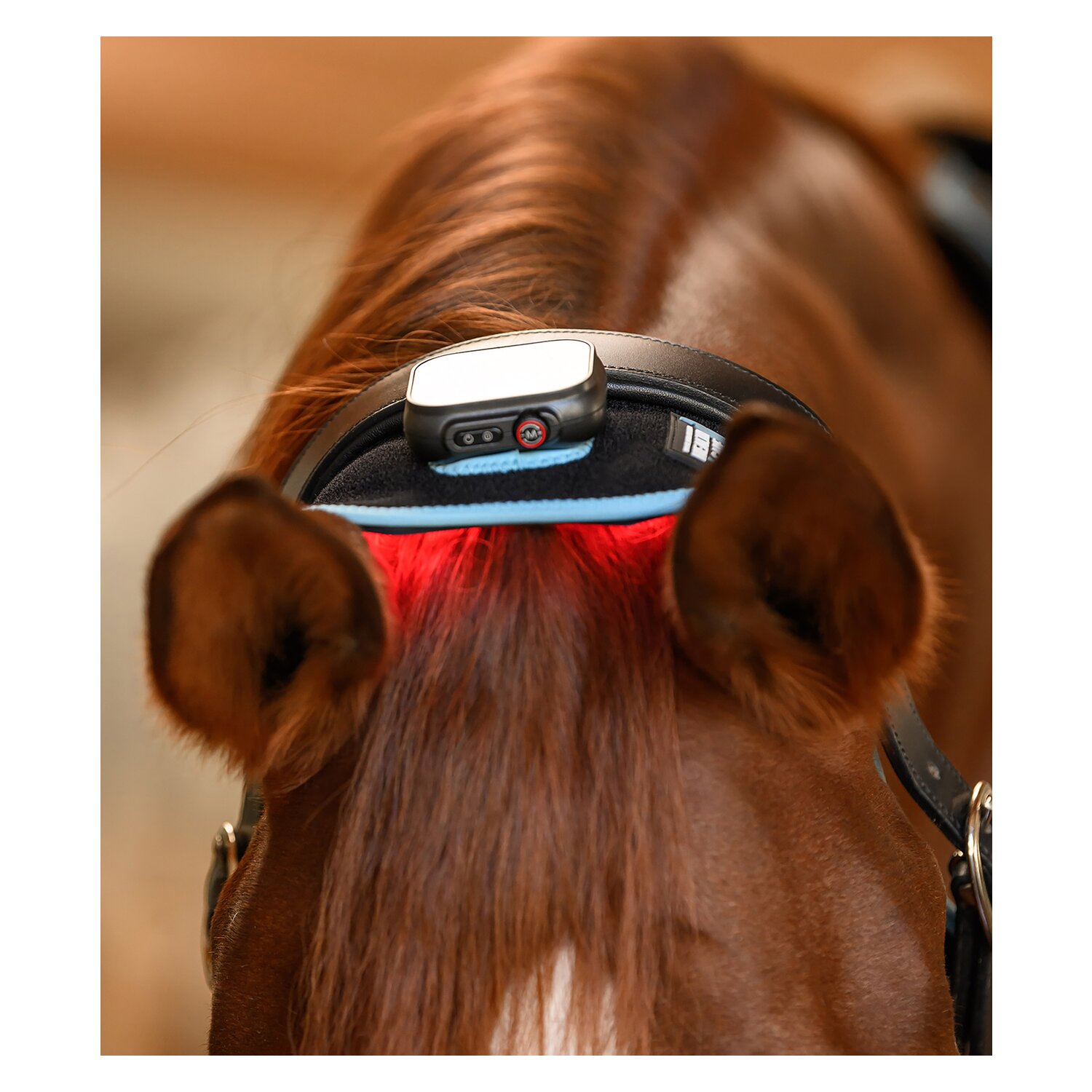 WALDHAUSEN Health + Care Infrared FlexPad &ndash; Ansicht 6