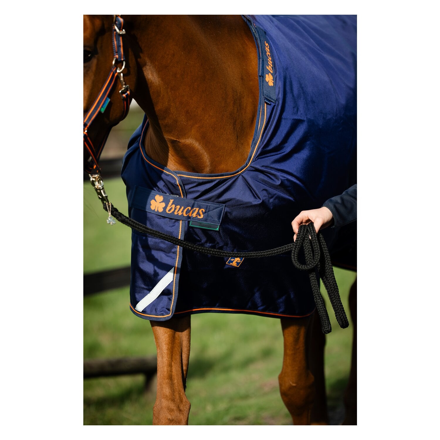bucas Decke Therapy Turnout Light &ndash; Ansicht 3