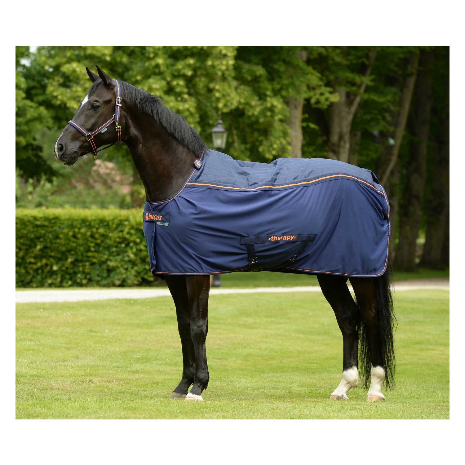 bucas Decke Therapy Cooler &ndash; Ansicht 1