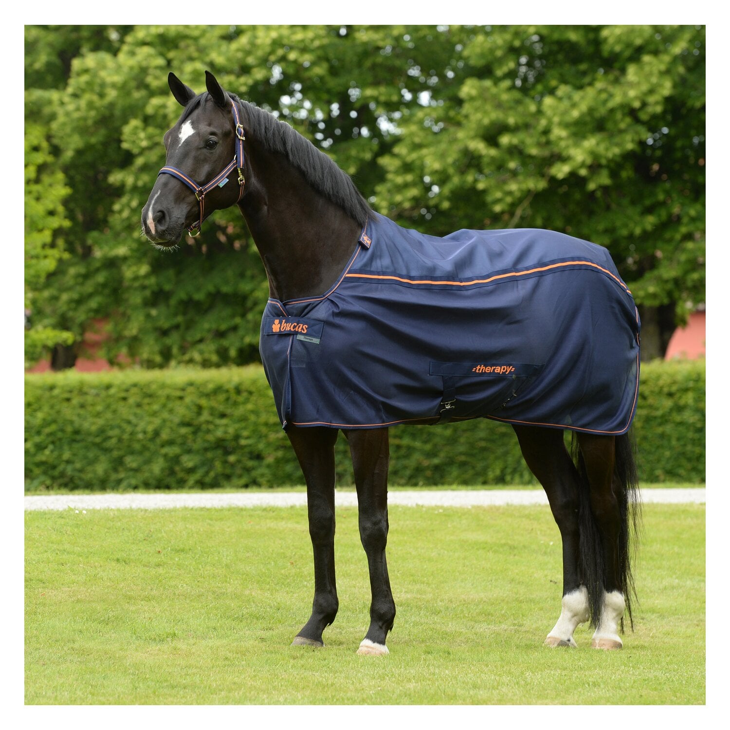 bucas Abschwitzdecke Therapy Mesh Cooler &ndash; Ansicht 1