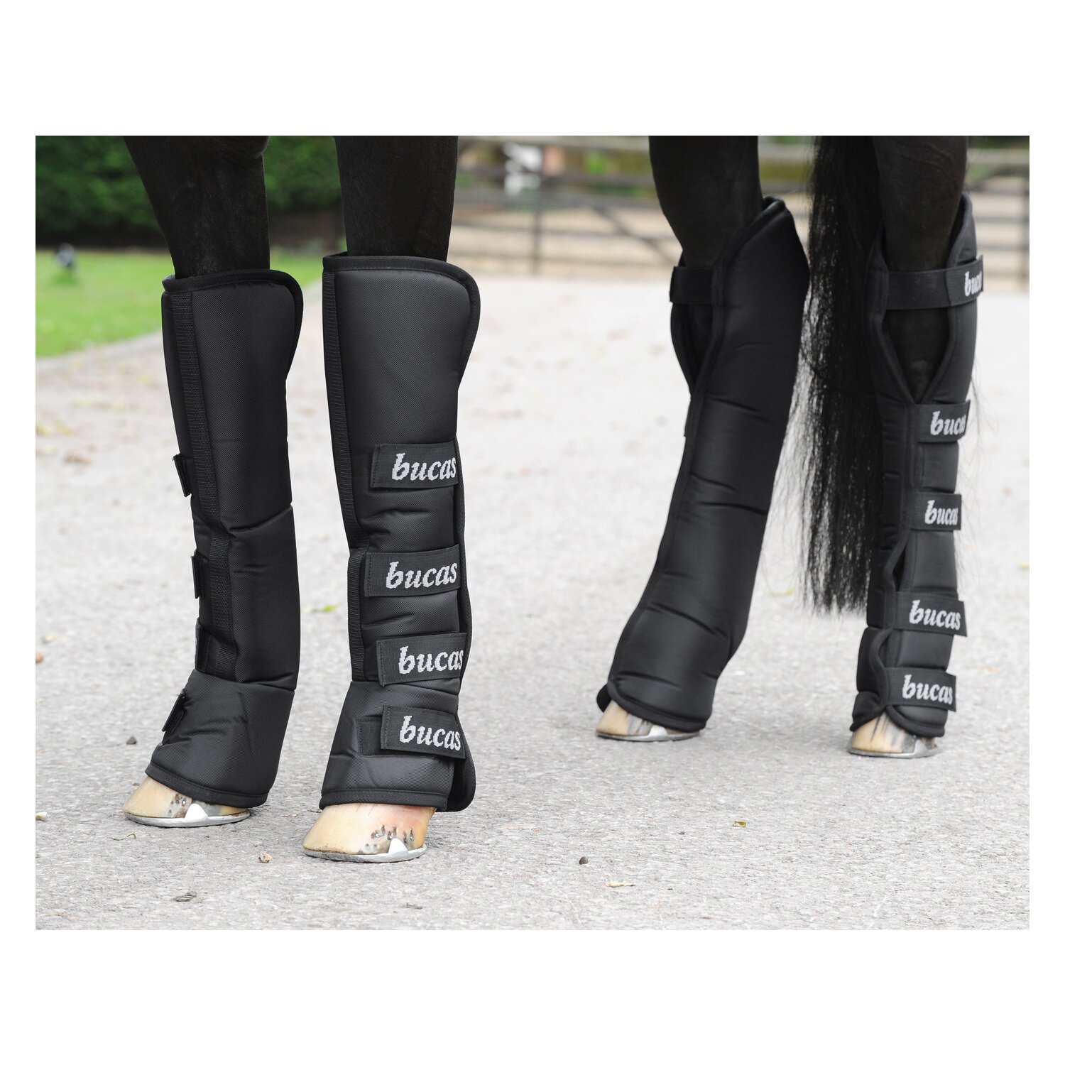 bucas Transportgamaschen-Set 2020 Boots für Vorder- und Hinterbeine – Ansicht 2