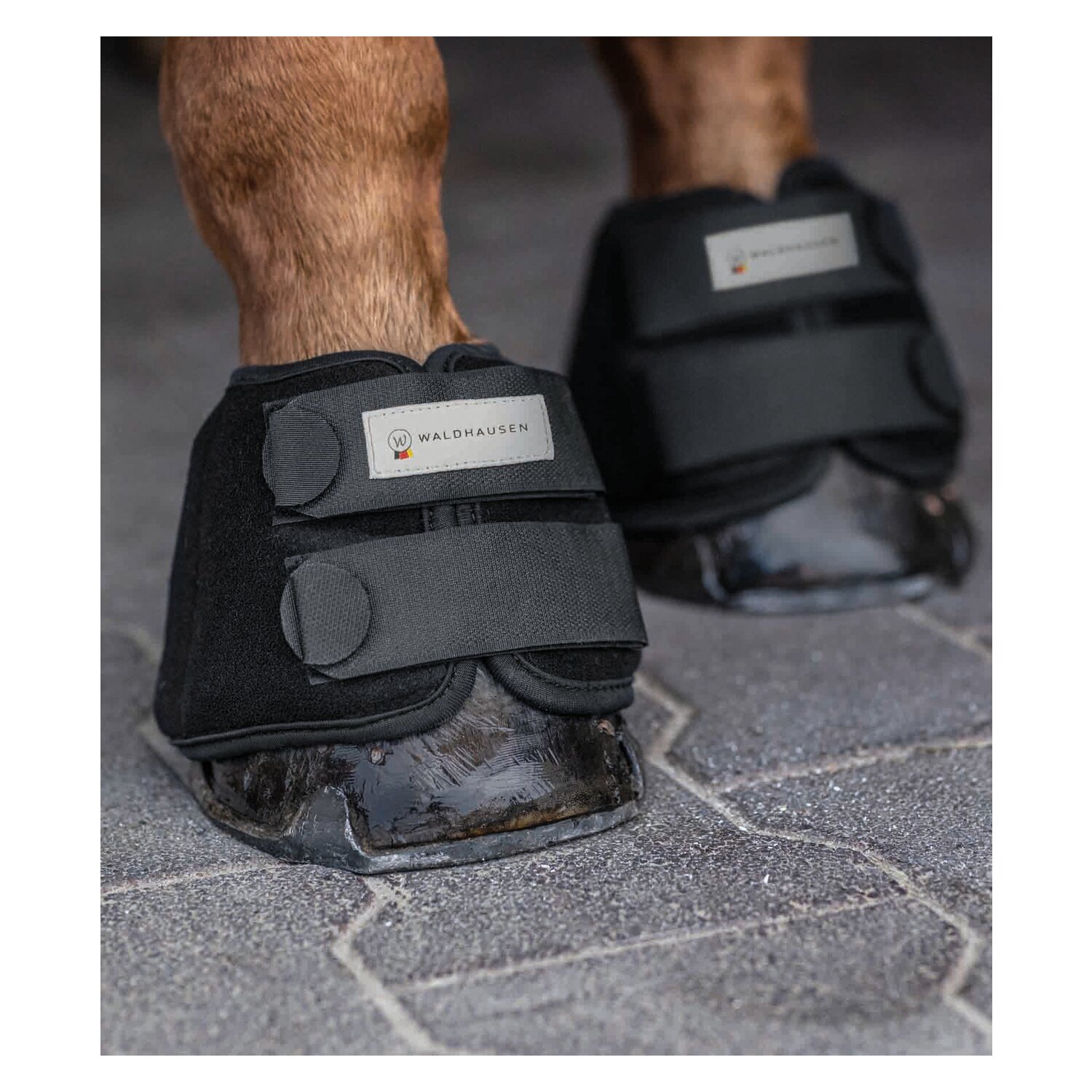 WALDHAUSEN Kühlhufglocken – Ansicht 5