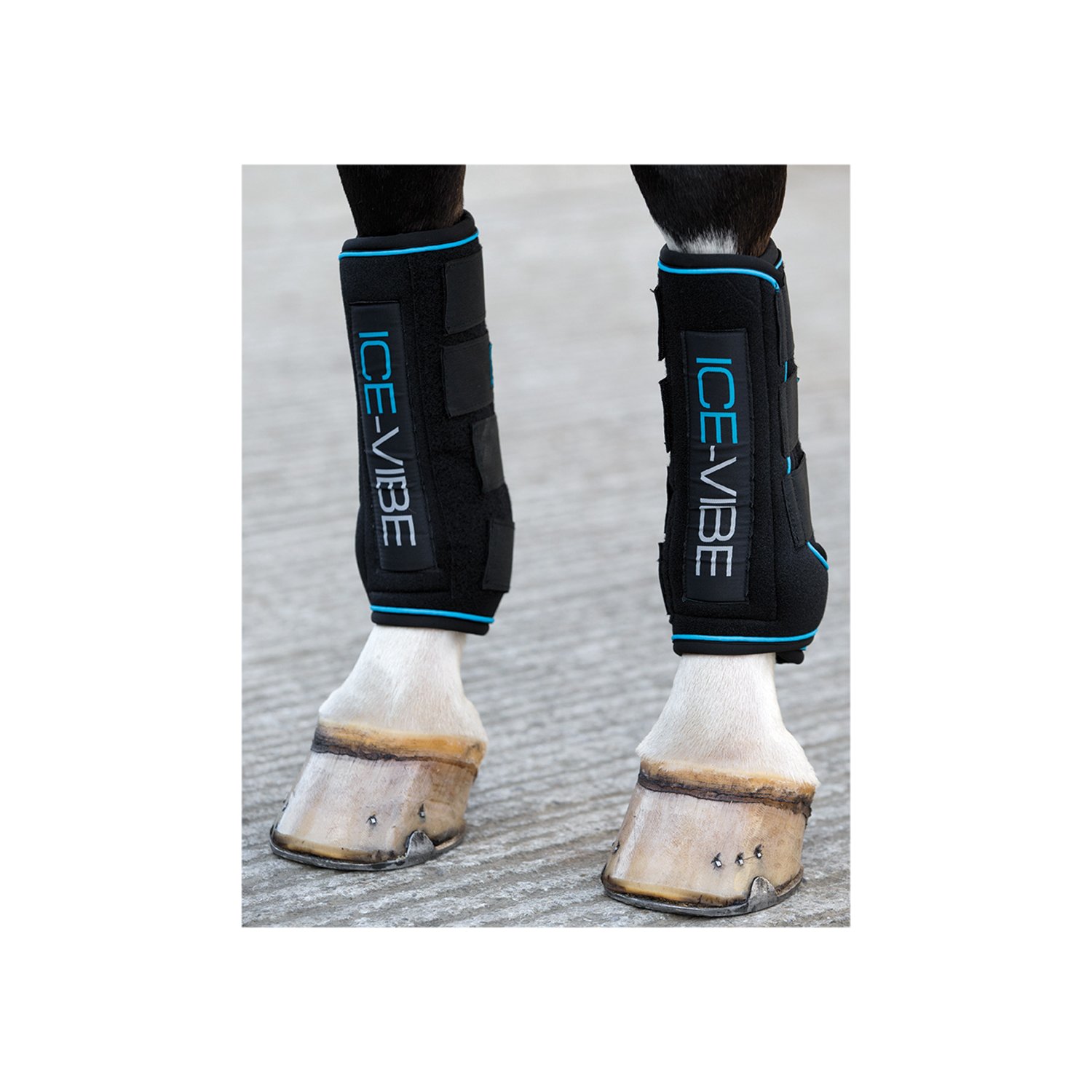 Horseware Ice-Vibe Gamaschen &ndash; Ansicht 1