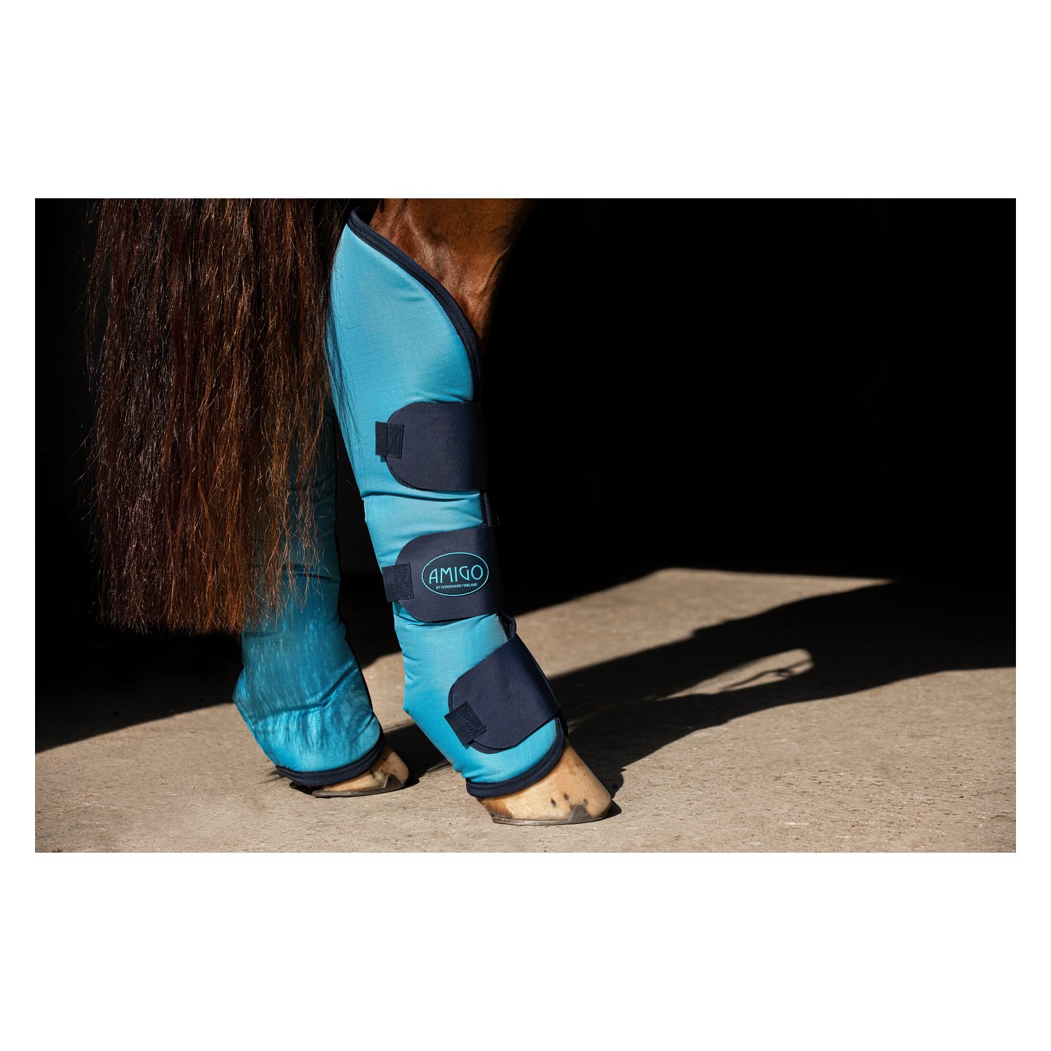 Horseware AMIGO Transportgamaschen-Set – Ansicht 2