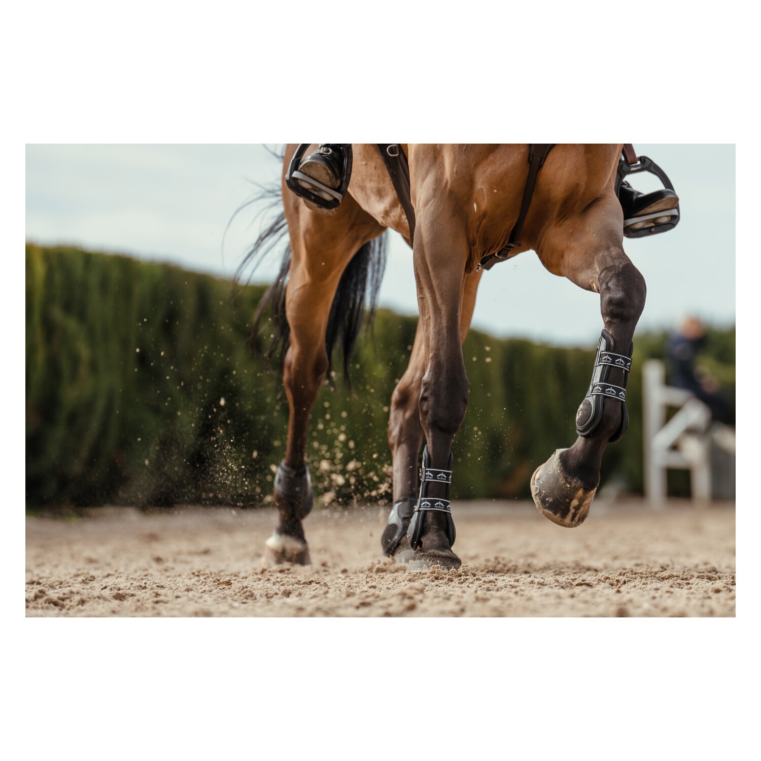 VEREDUS Springgamaschen Carbon Gel Vento, für die Vorderbeine – Ansicht 2