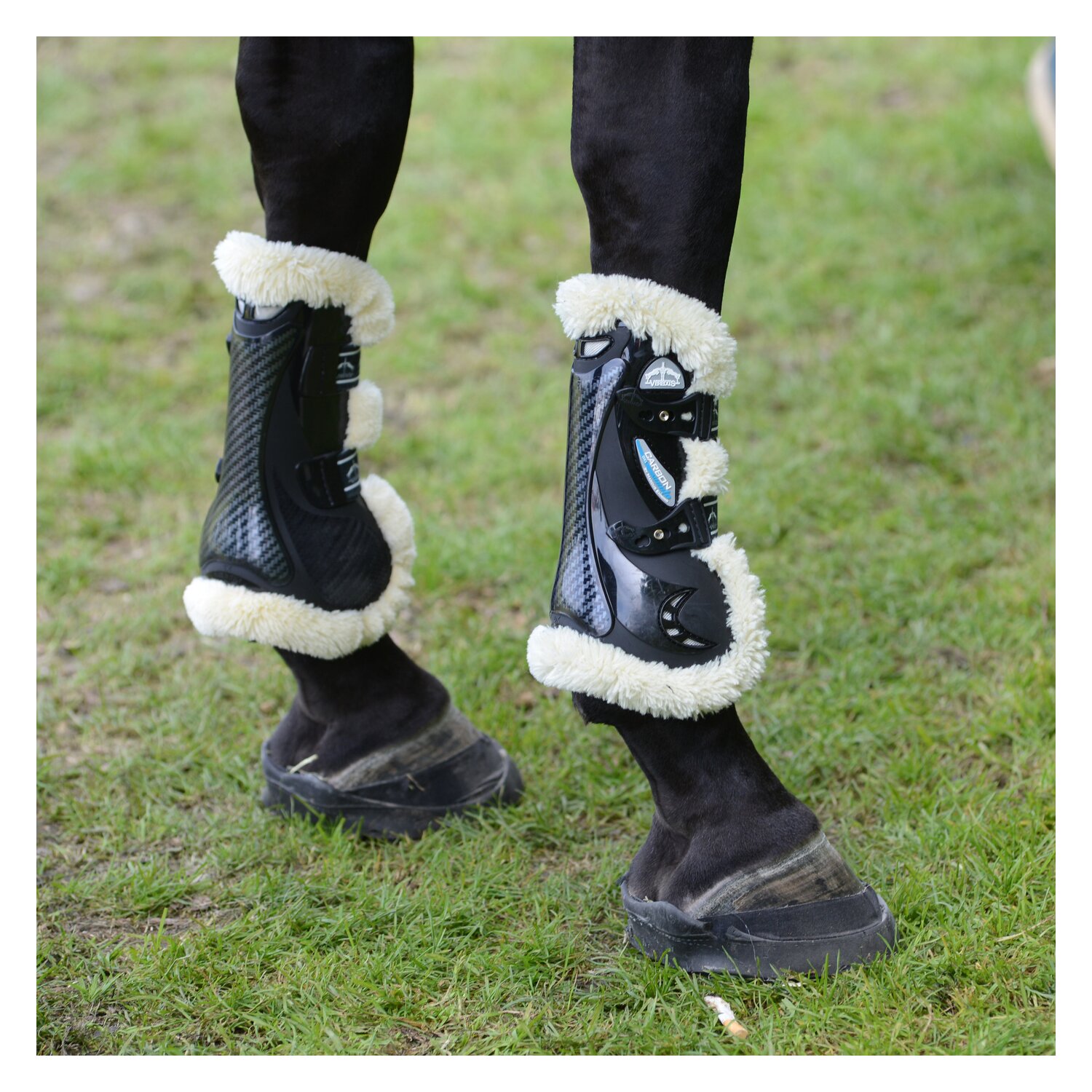 VEREDUS Gamaschen Carbon Gel Vento Save the Sheep, für die Vorderbeine – Ansicht 3