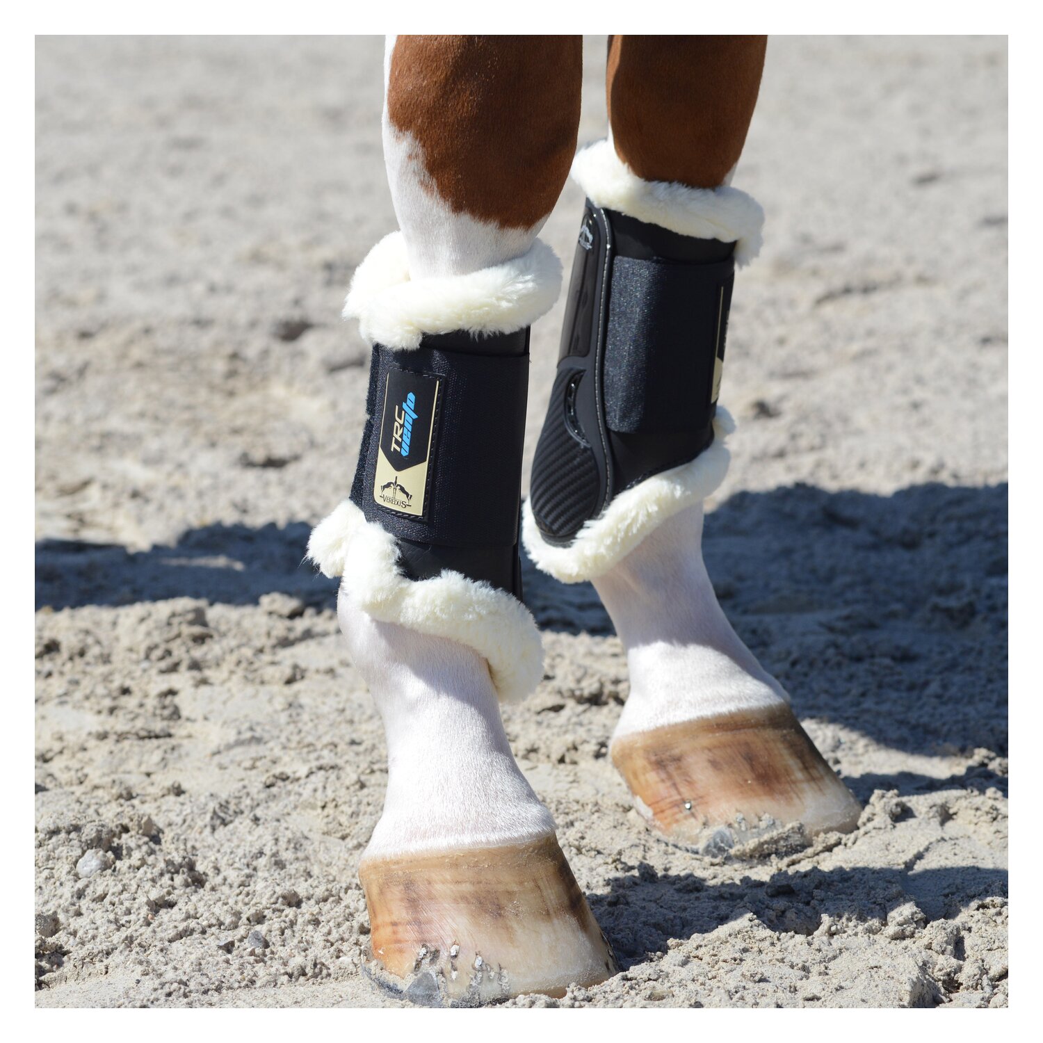 VEREDUS Gamaschen TRC Vento Save the Sheep, für die Vorderbeine – Ansicht 3
