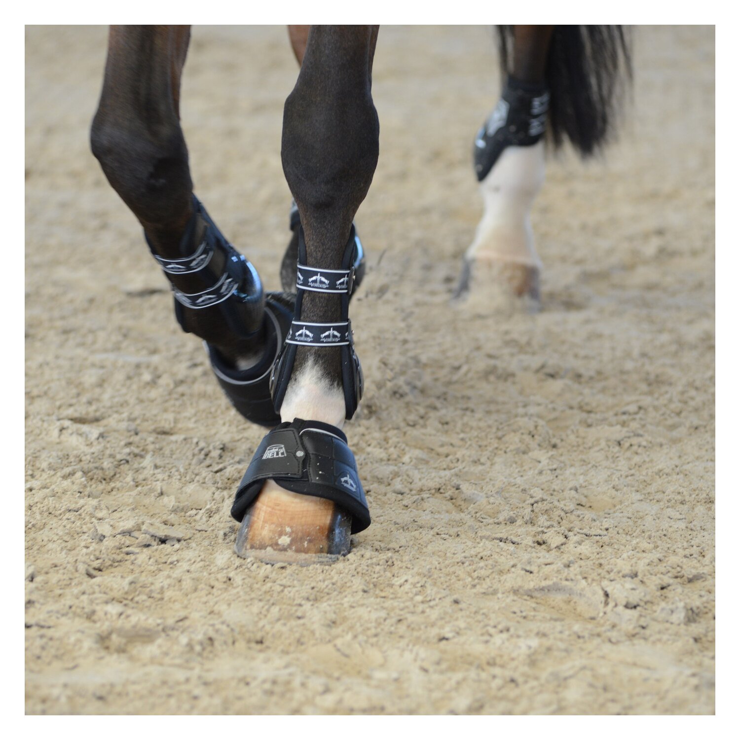 VEREDUS Hufglocken Jumping – Ansicht 2