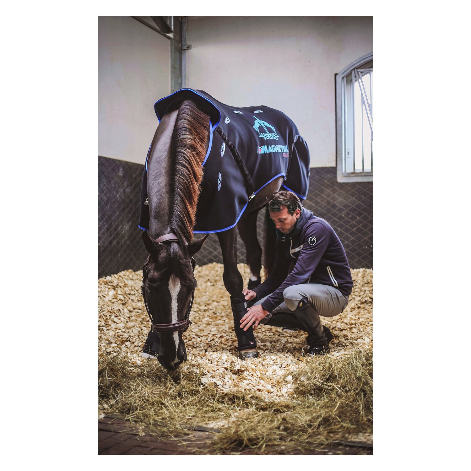 VEREDUS Stallgamaschen Magnetik, für die Vorderbeine – Ansicht 7