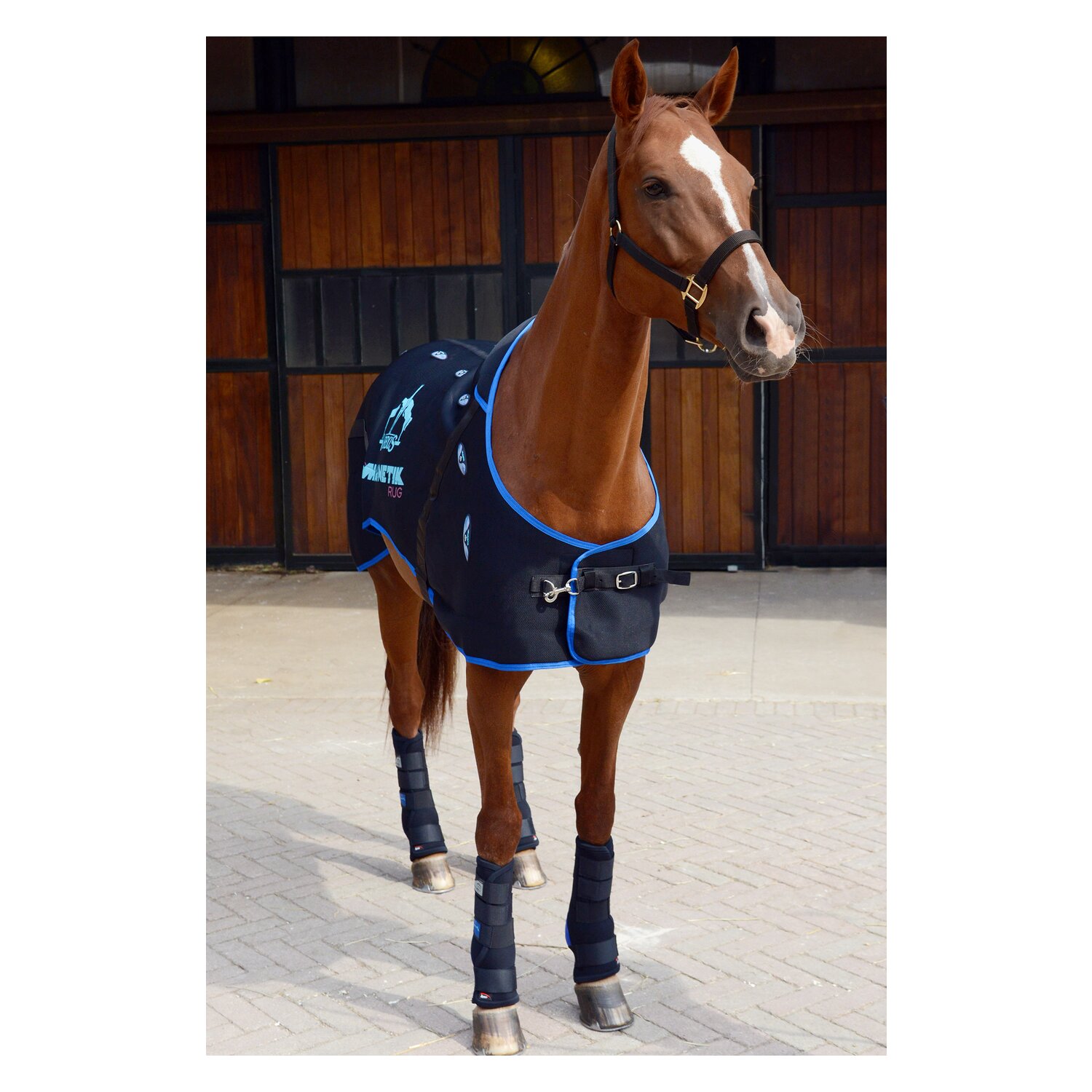 VEREDUS Stallgamaschen Magnetik, für die Vorderbeine – Ansicht 8