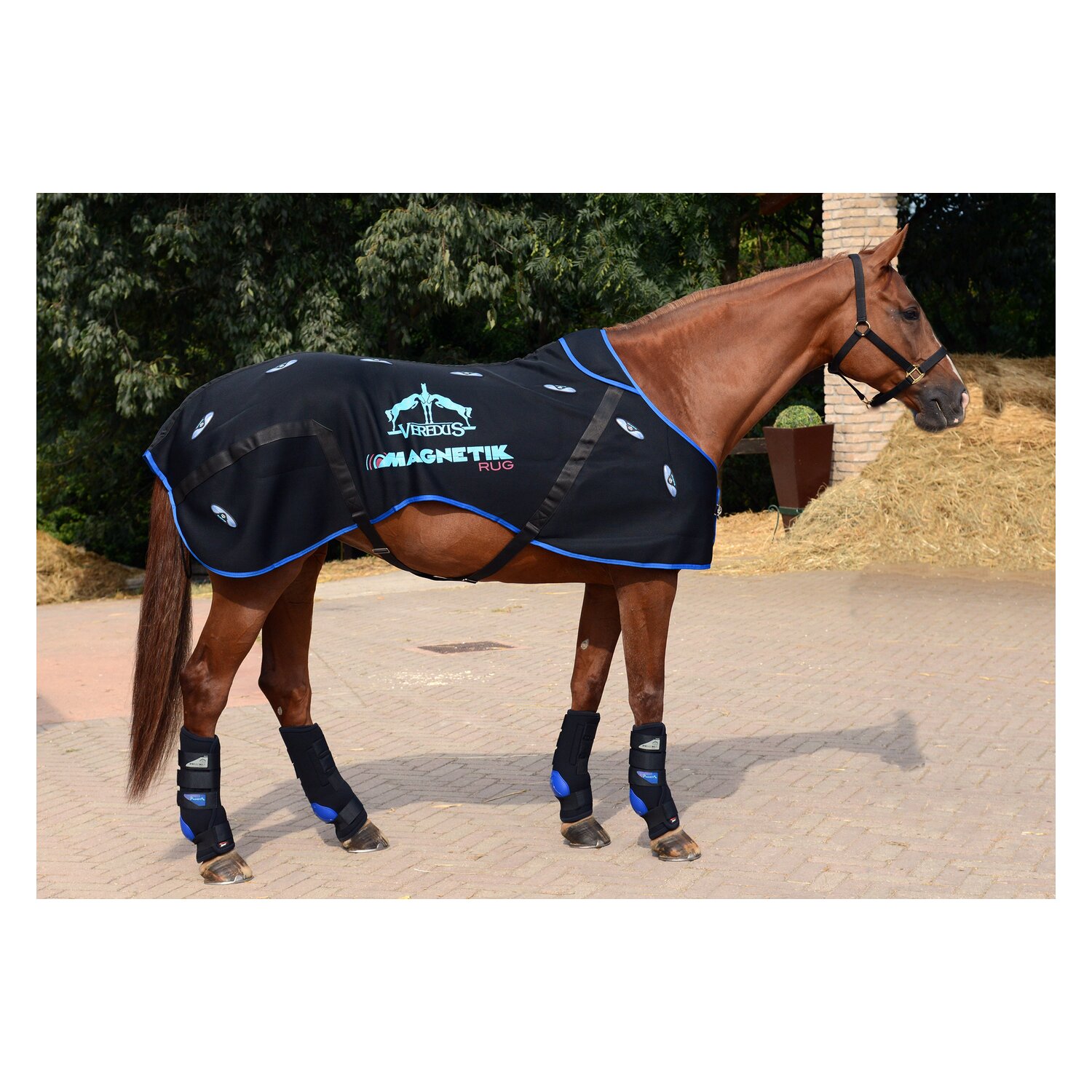 VEREDUS Stallgamaschen Magnetik, für die Vorderbeine – Ansicht 9