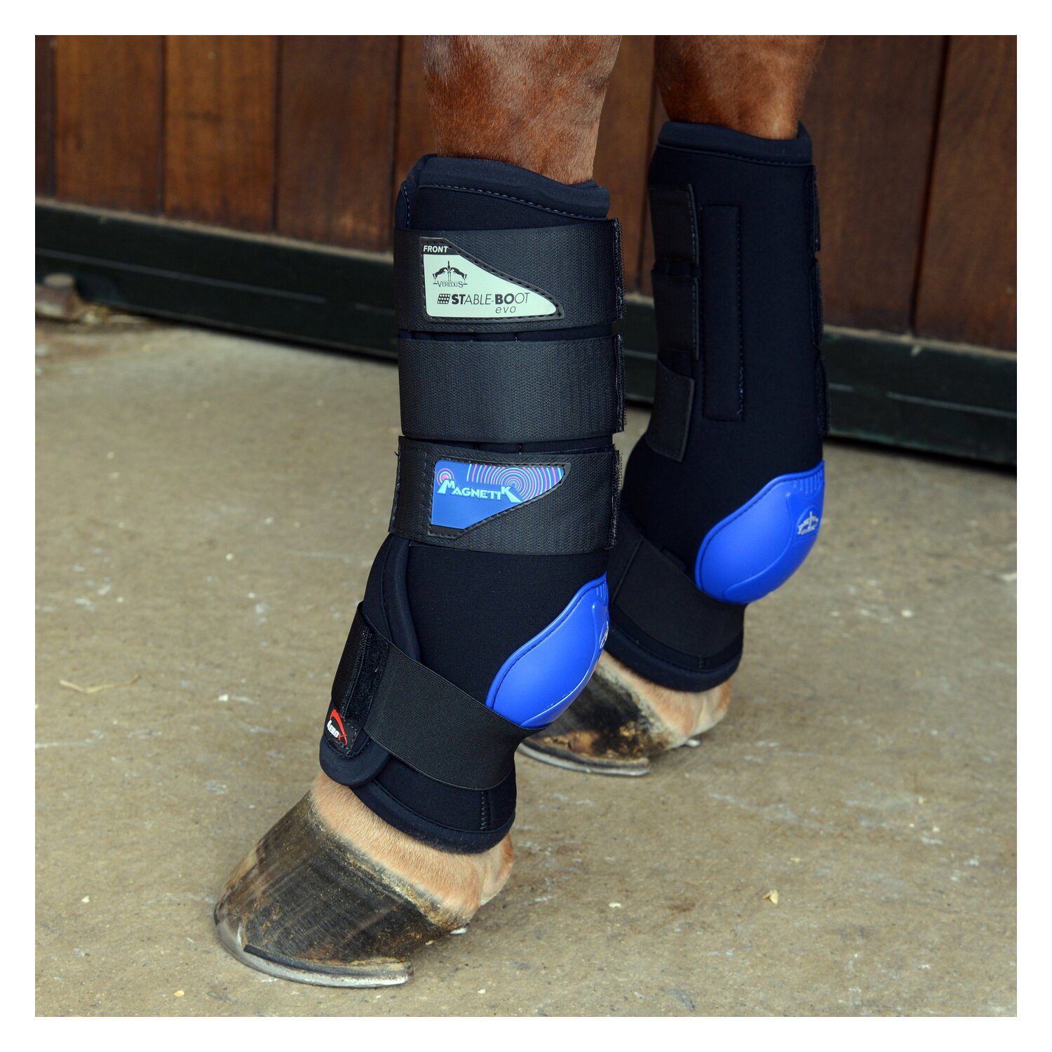 VEREDUS Stallgamaschen Magnetik, für die Vorderbeine – Ansicht 4