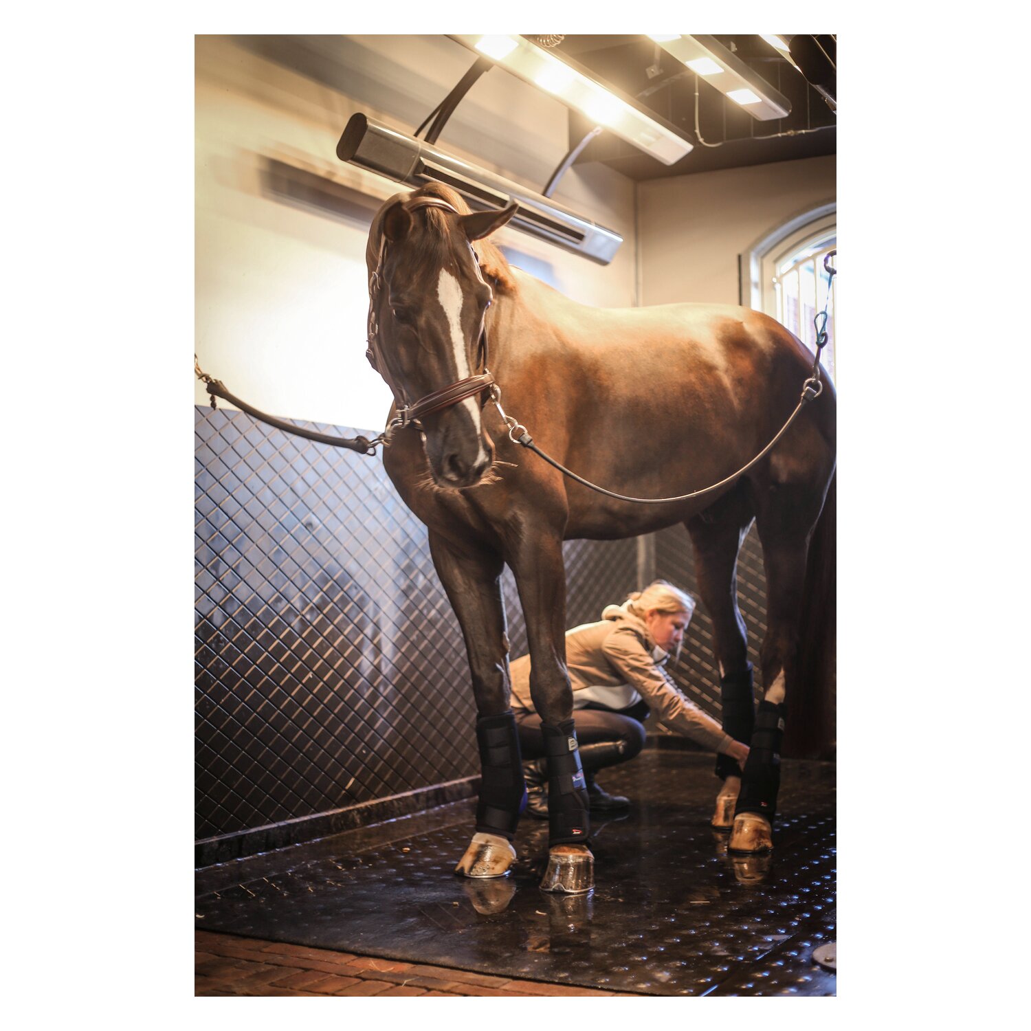 VEREDUS Stallgamaschen Magnetik, für die Hinterbeine – Ansicht 2