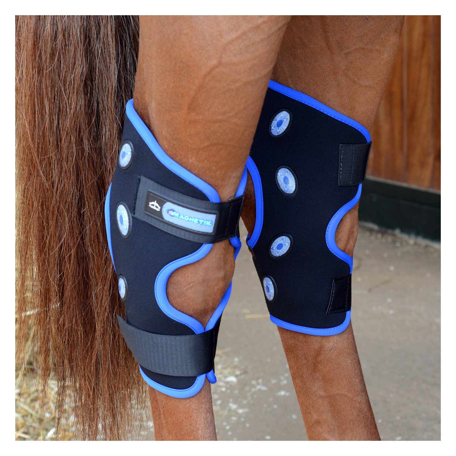 VEREDUS Sprunggelenkgamaschen Magnetik – Ansicht 2