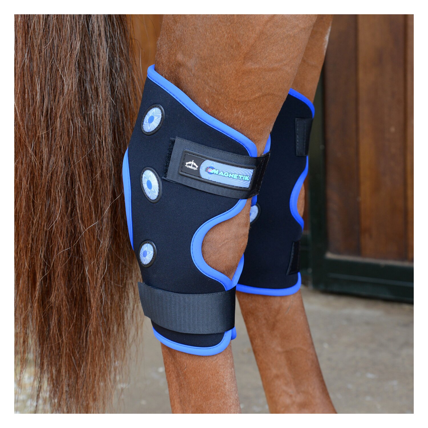 VEREDUS Sprunggelenkgamaschen Magnetik – Ansicht 3