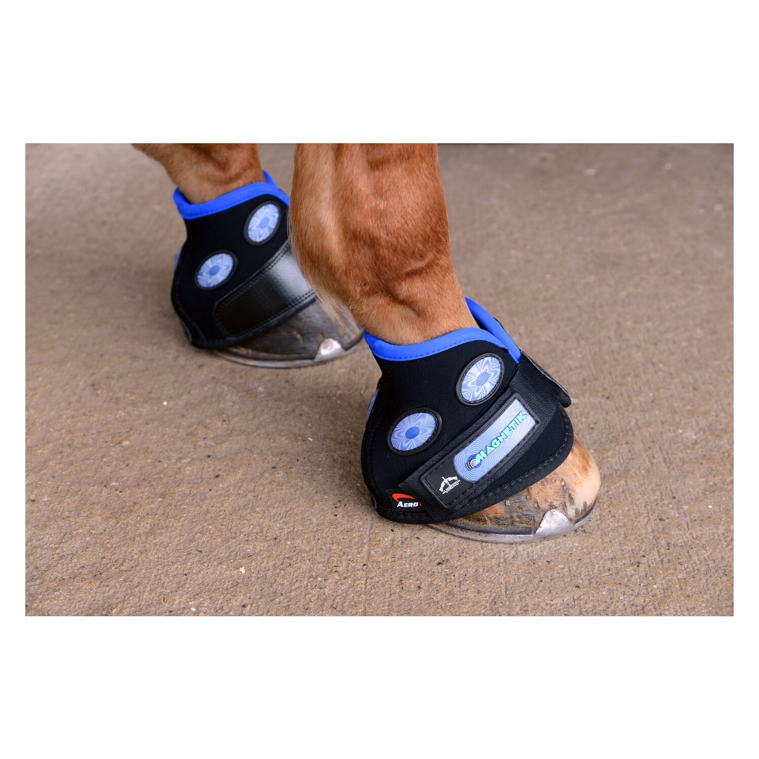 VEREDUS Hufglocken Magnetik – Ansicht 2