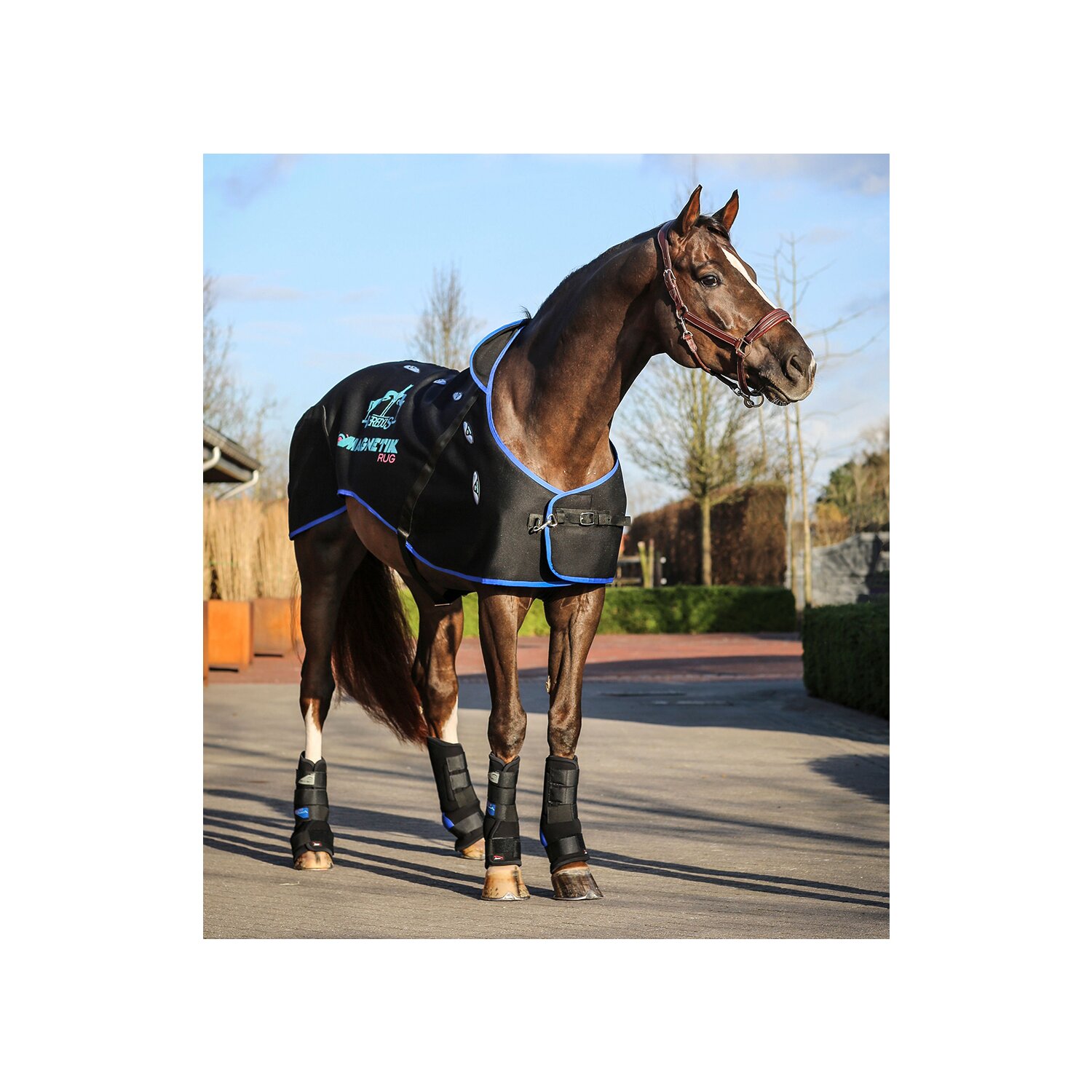 VEREDUS Magnetfelddecke – Ansicht 2