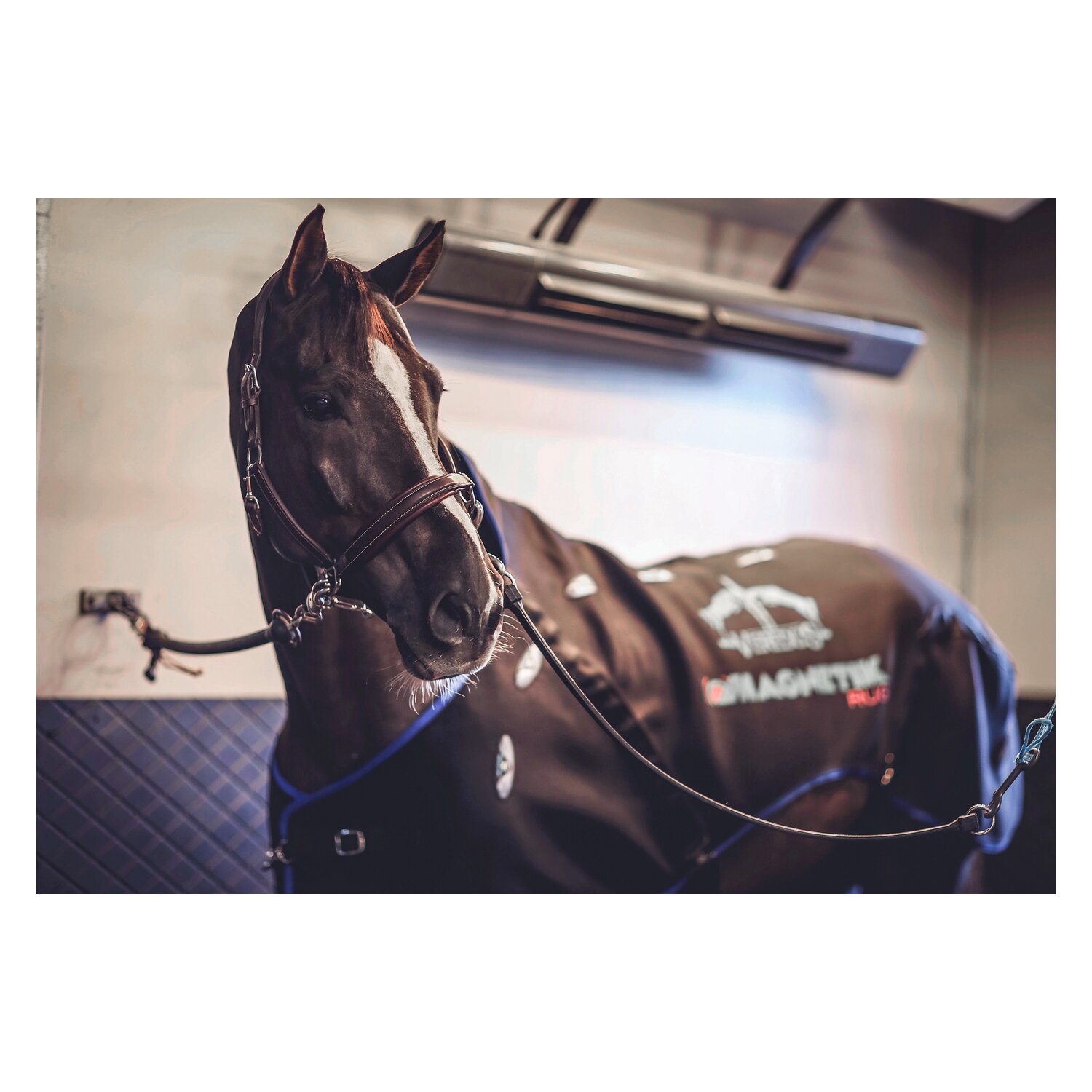 VEREDUS Magnetfelddecke – Ansicht 3