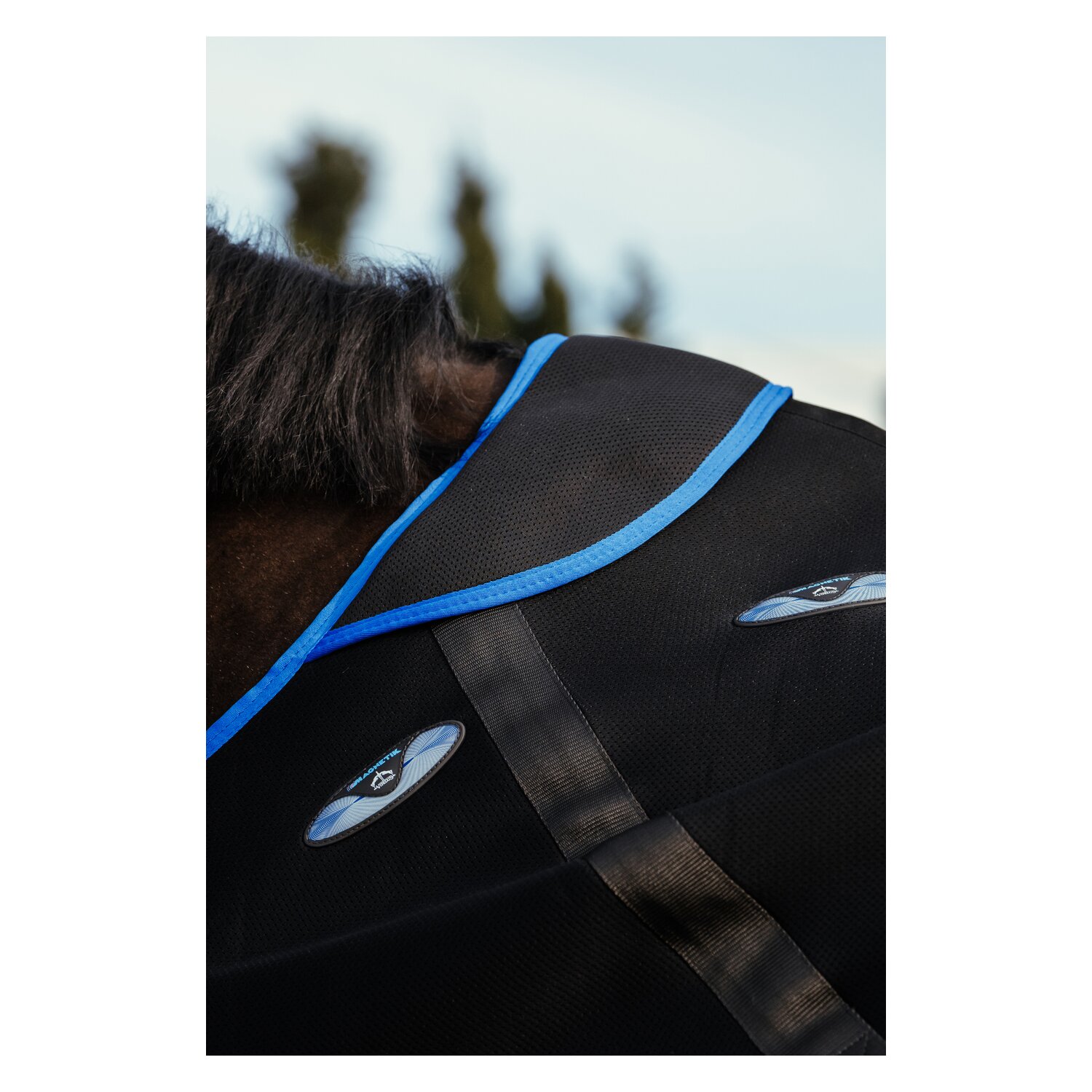 VEREDUS Magnetfelddecke – Ansicht 5