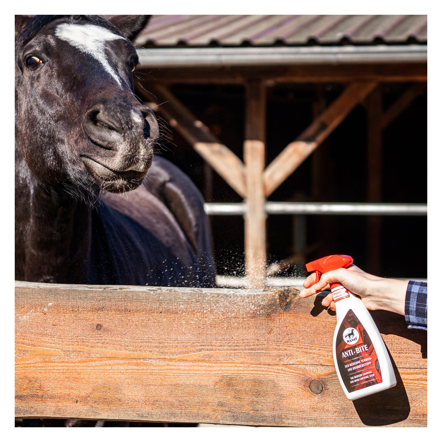 leovet Anti-bite – Ansicht 2