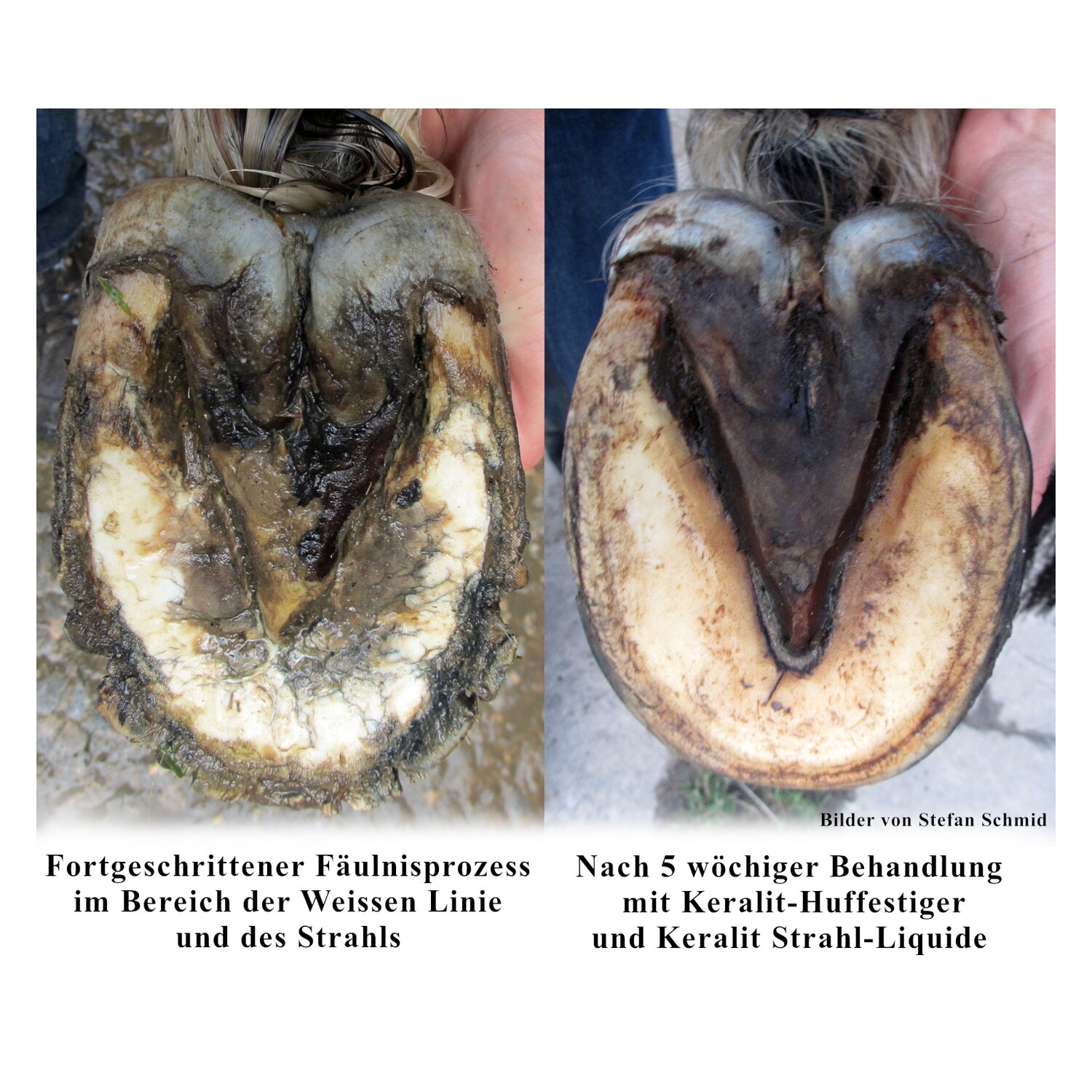 KERALIT Strahl-Liquide – Ansicht 4