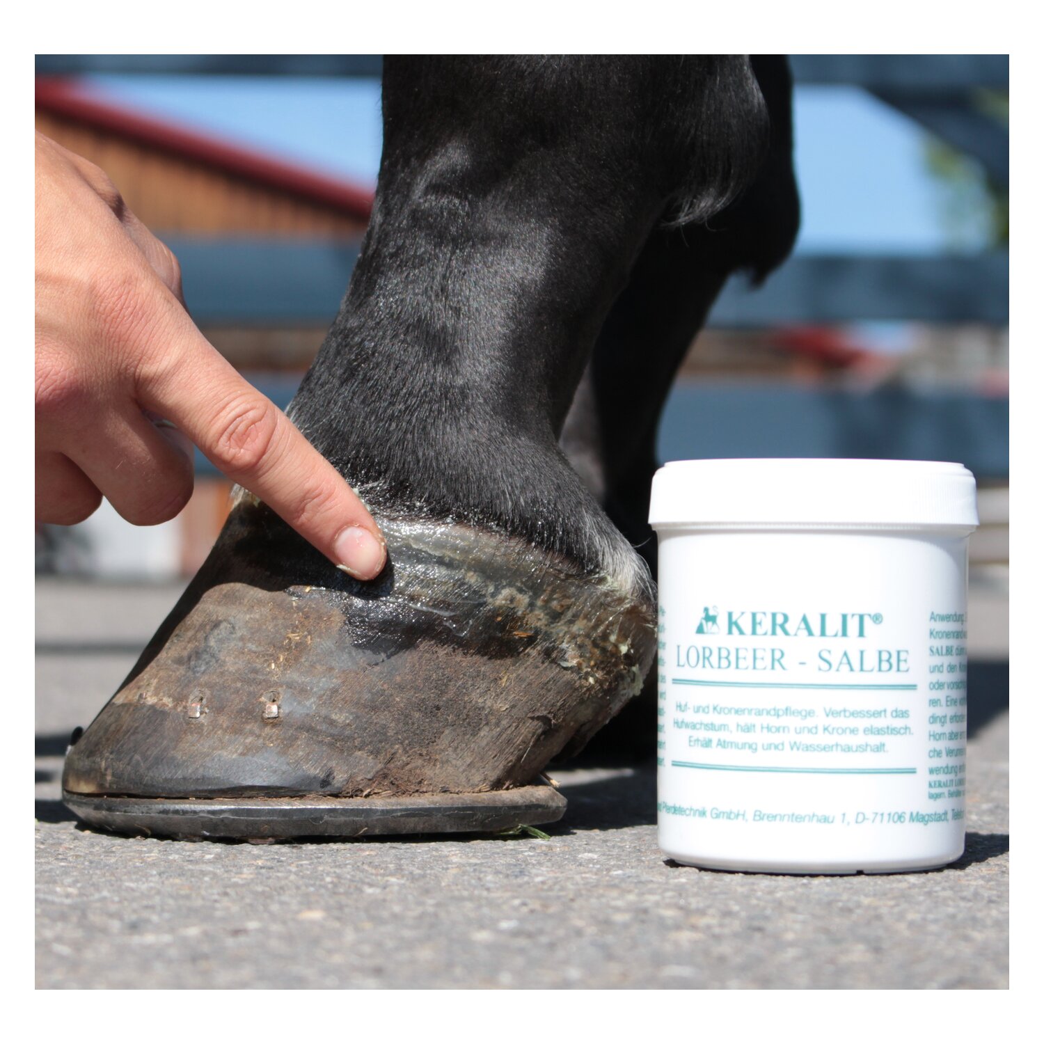 KERALIT Lorbeer-Salbe – Ansicht 4