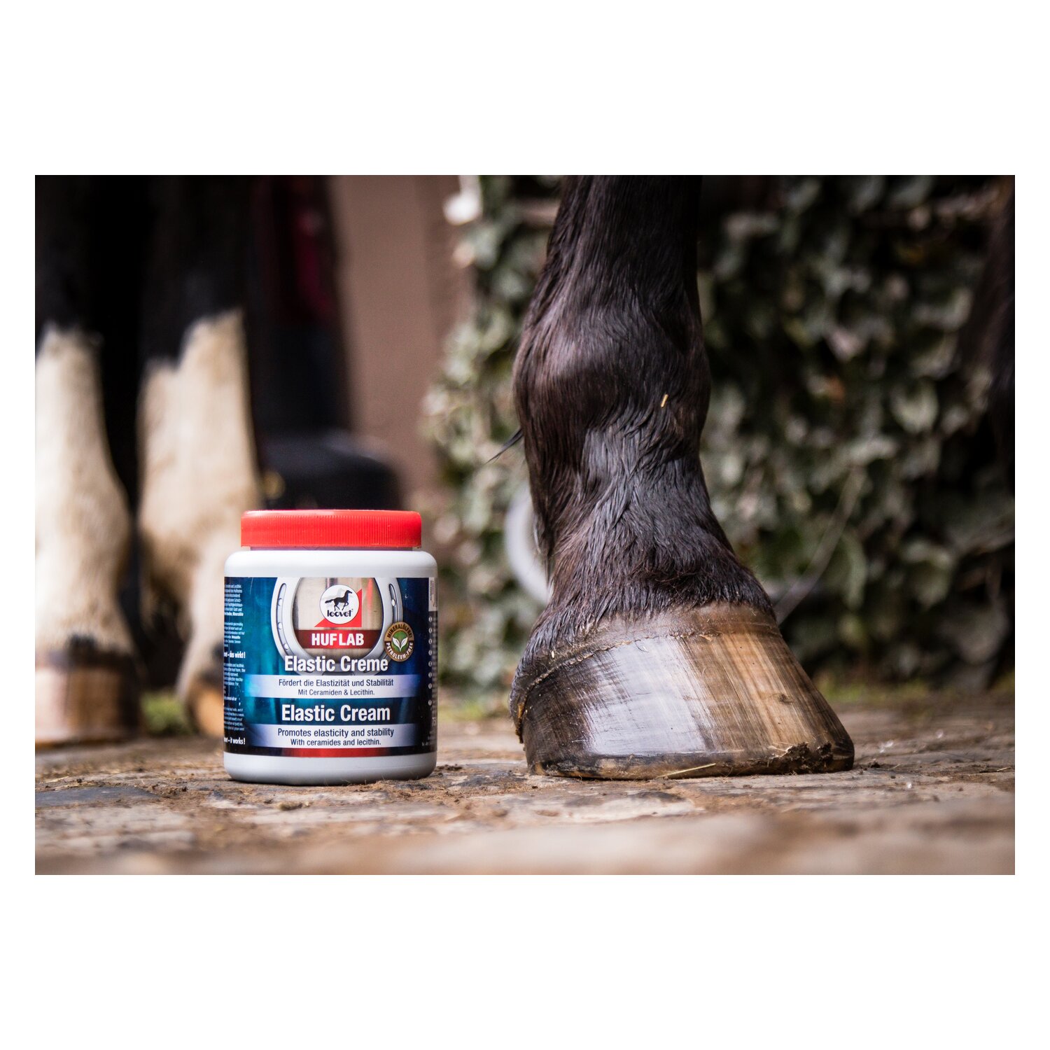 leovet HUFLAB Elastic Creme – Ansicht 3