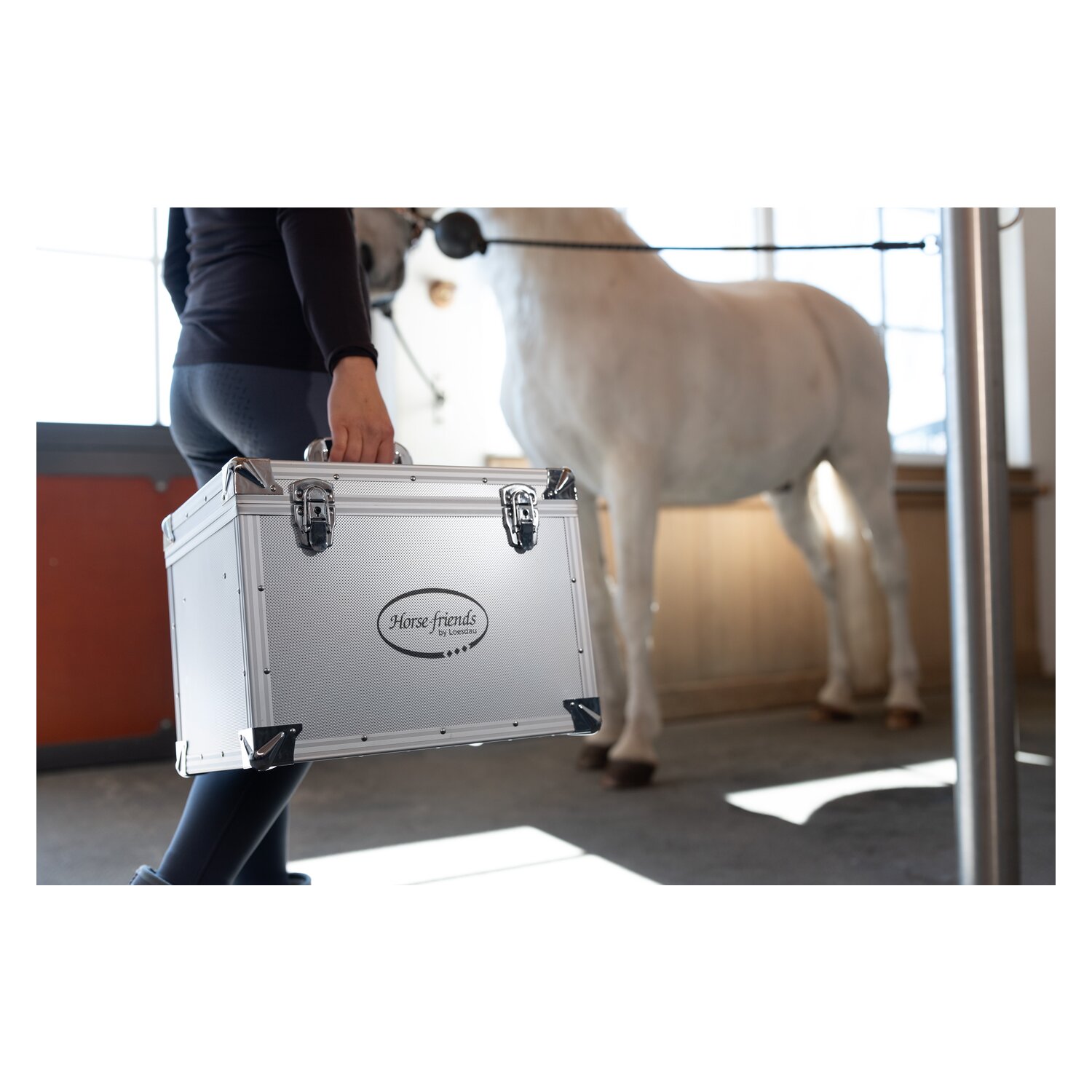 Horse-friends Putzbox – Ansicht 4
