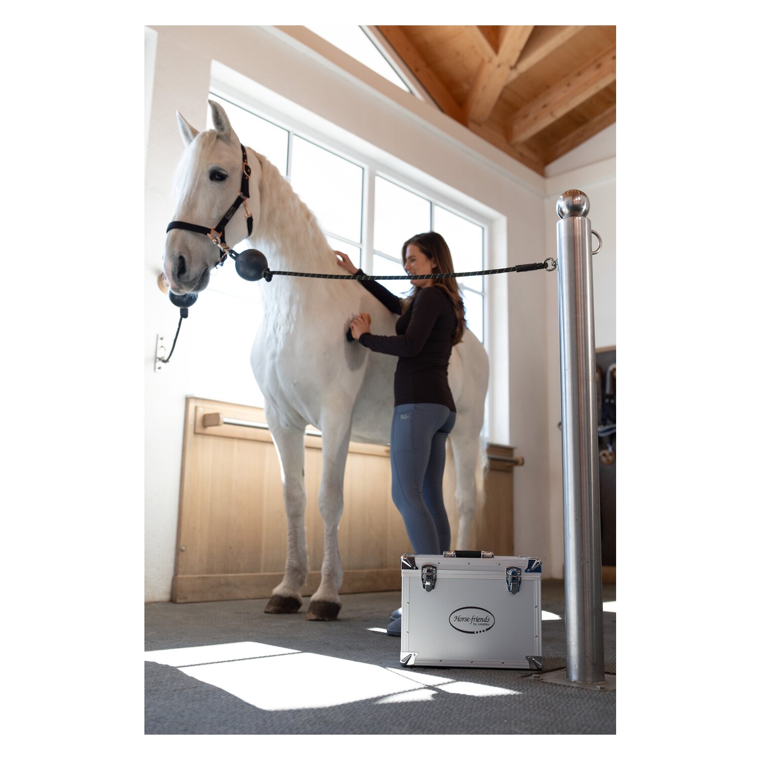 Horse-friends Putzbox – Ansicht 5