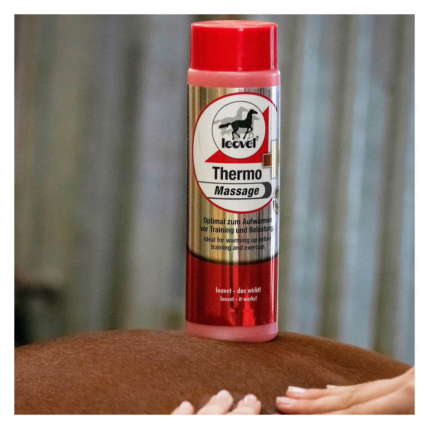 leovet Thermo Massage Gel – Ansicht 3