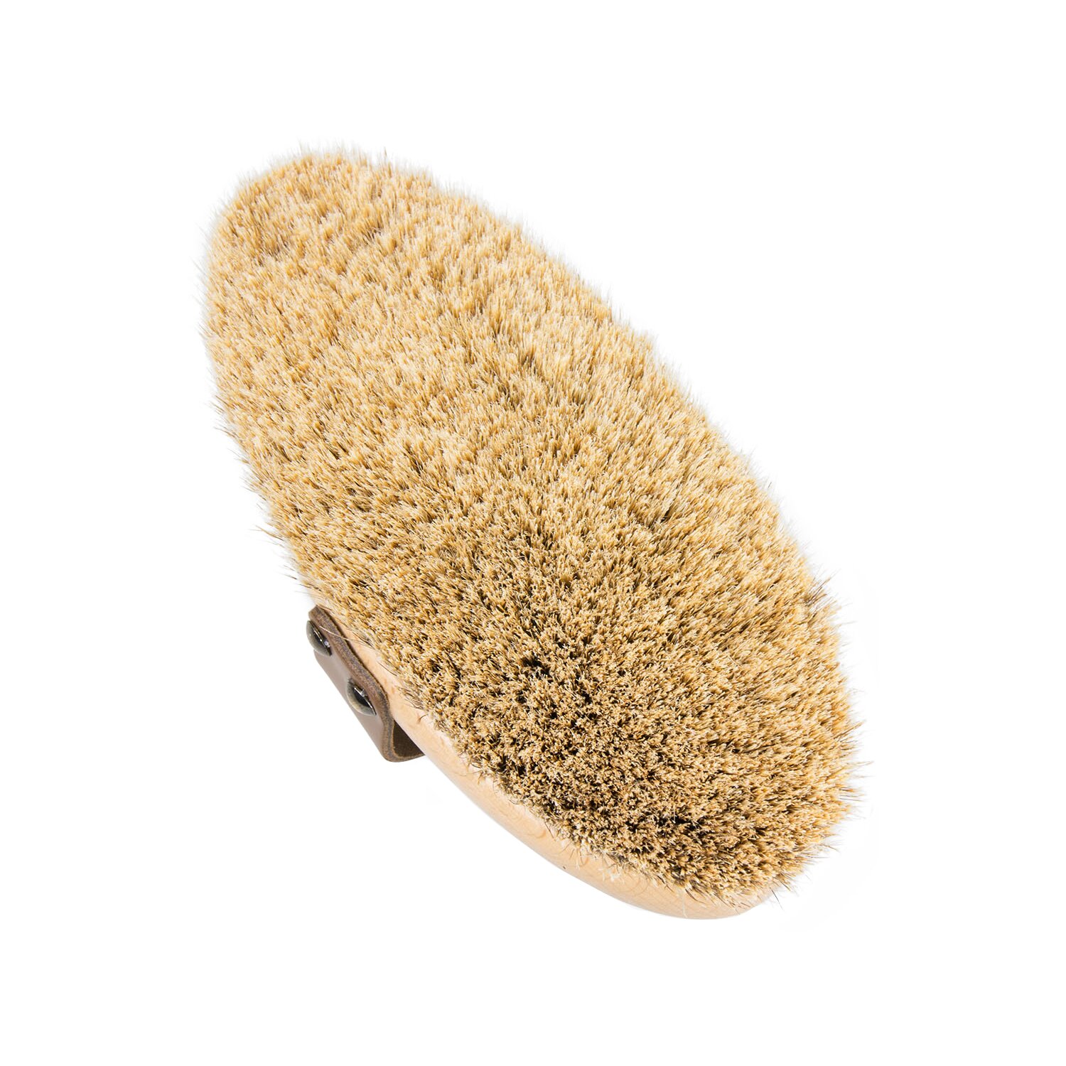 Leistner Kardätsche Shiny – Ansicht 3