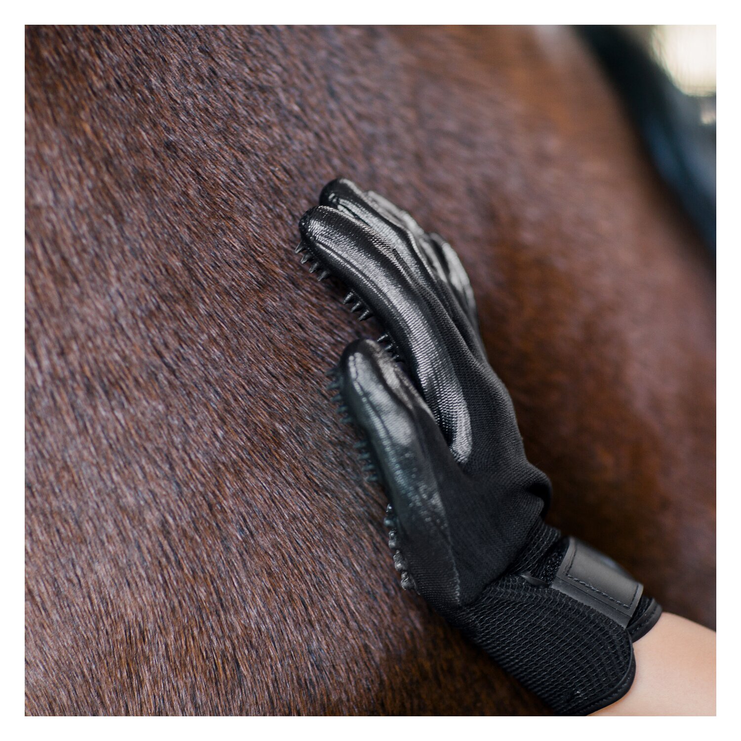 Horse-friends Pflegehandschuhe – Ansicht 4