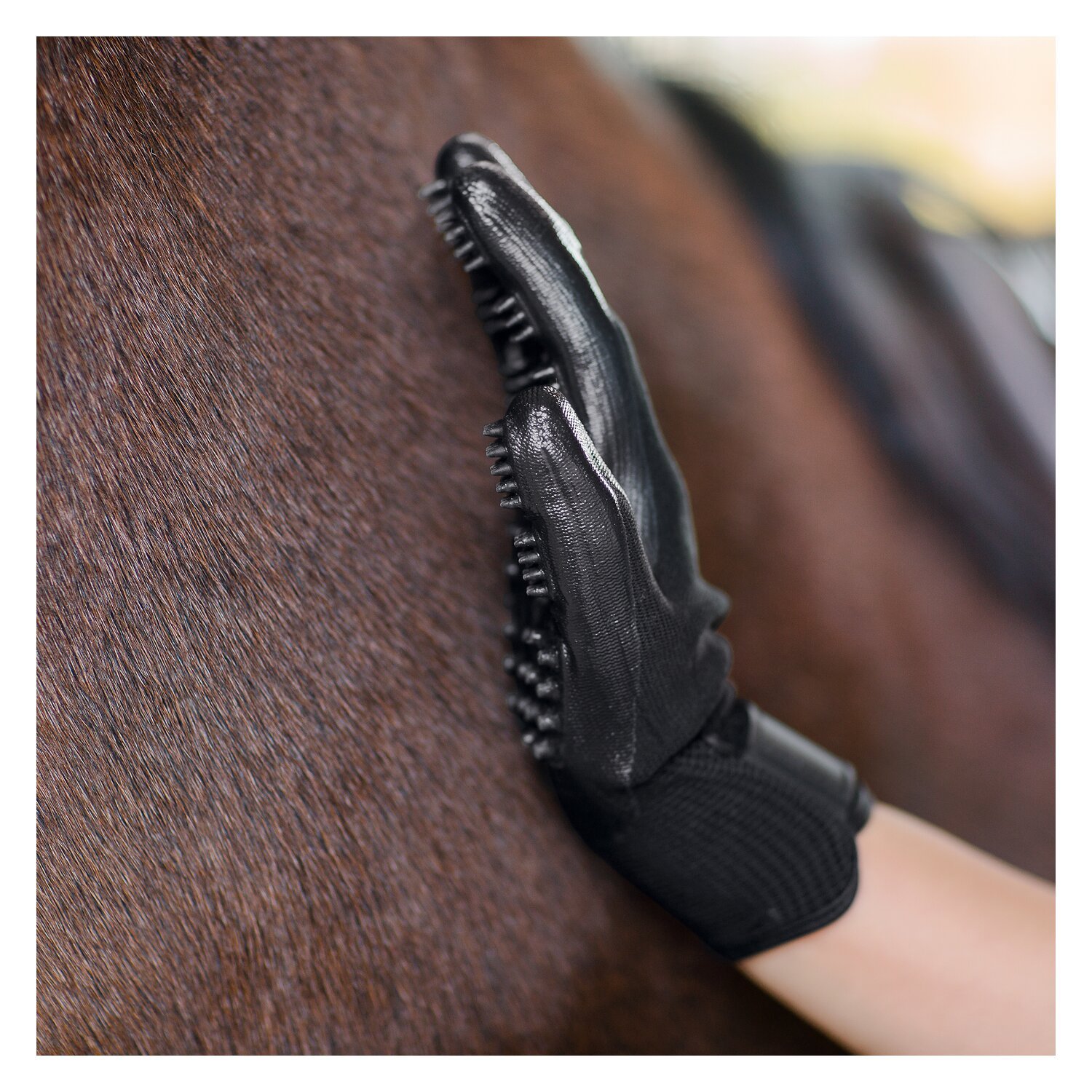 Horse-friends Pflegehandschuhe – Ansicht 3