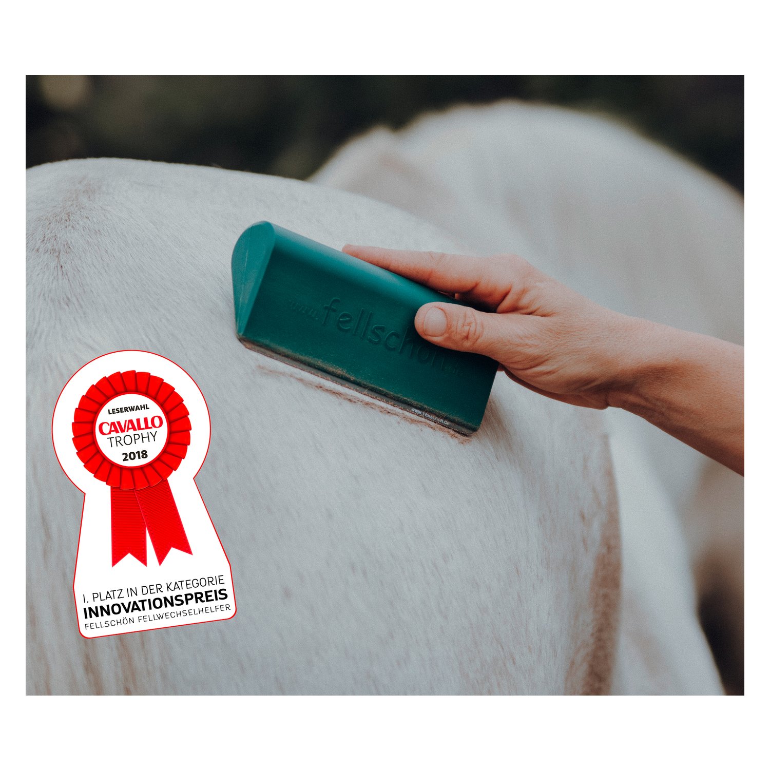 Fellschön – Ansicht 2