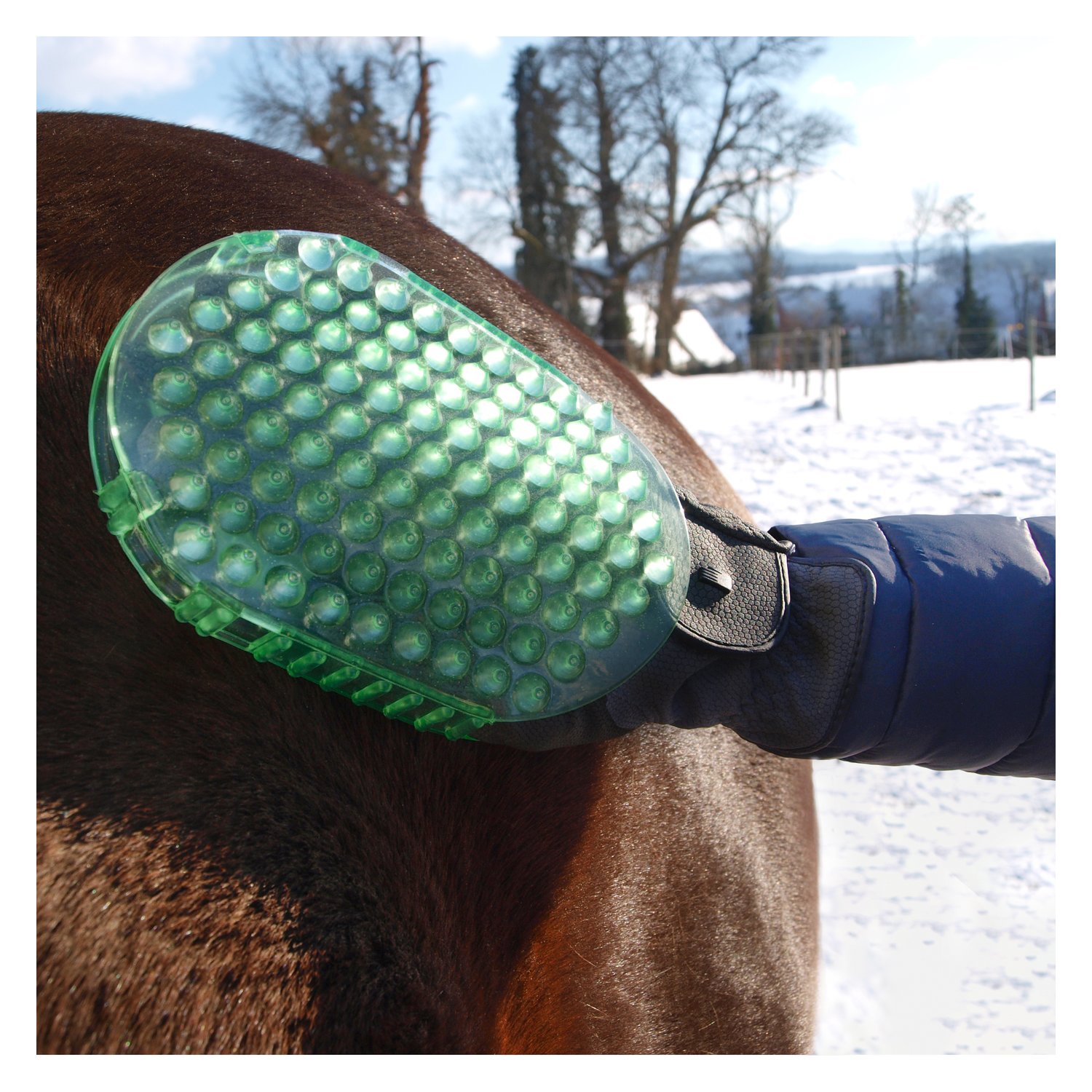 Horse-friends Massage- und Putzhandschuh – Ansicht 6