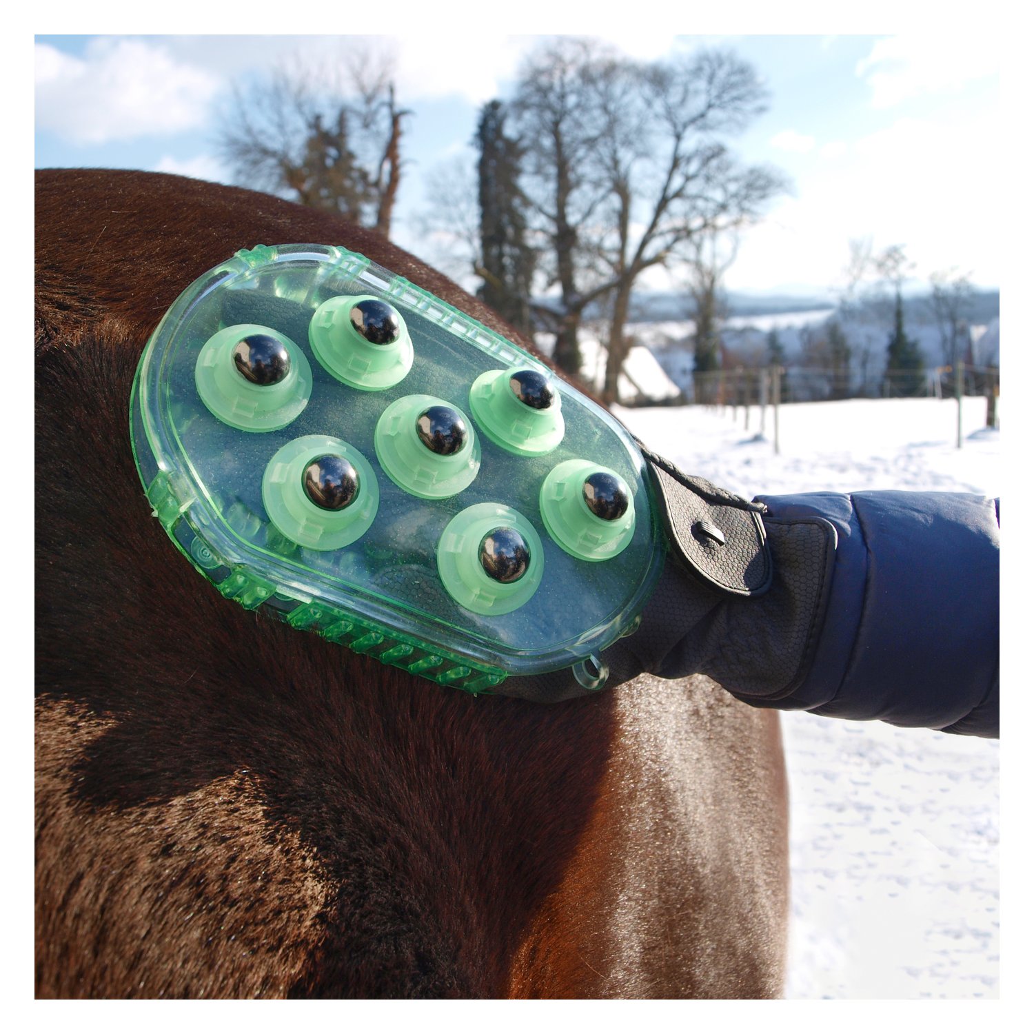Horse-friends Massage- und Putzhandschuh – Ansicht 8