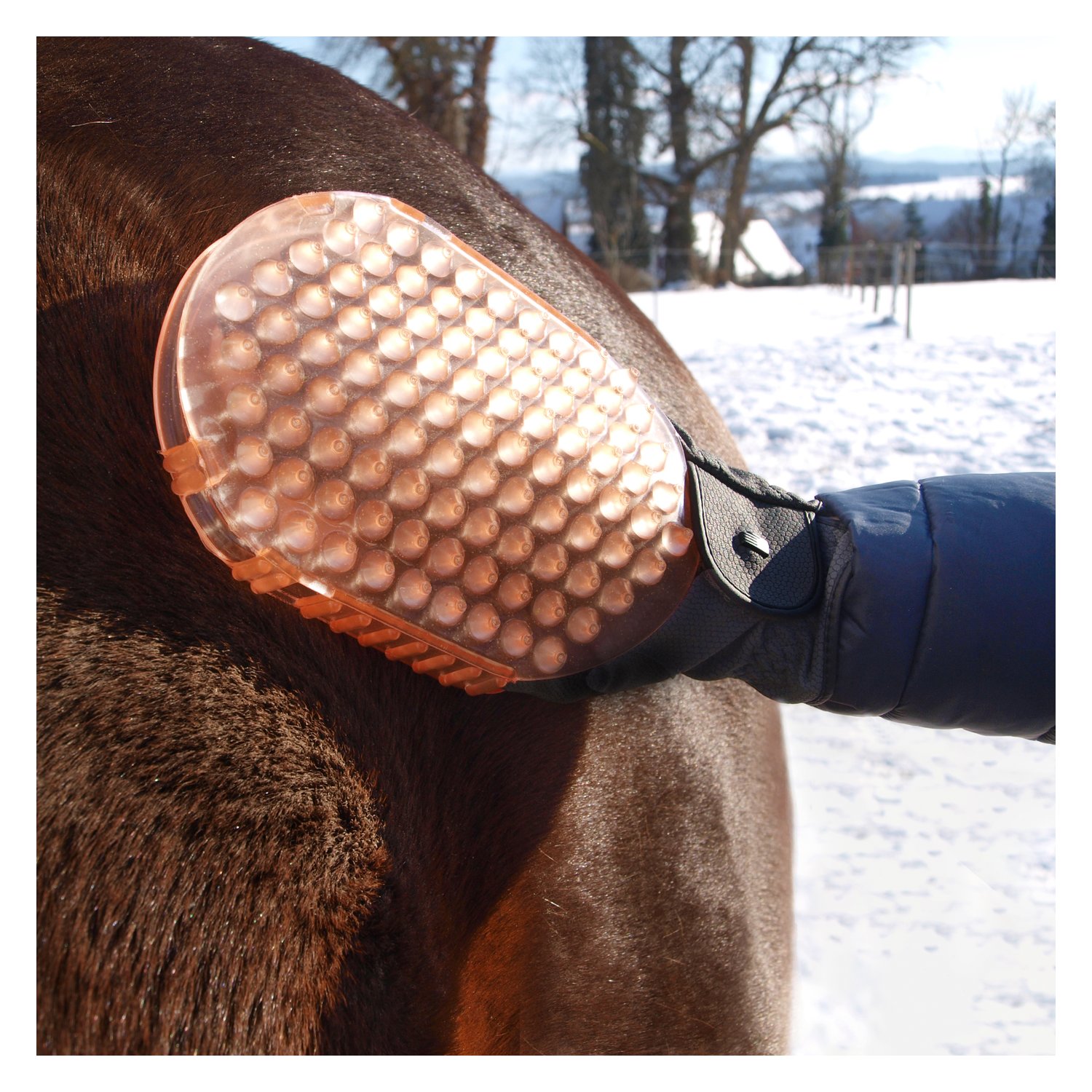 Horse-friends Massage- und Putzhandschuh – Ansicht 5
