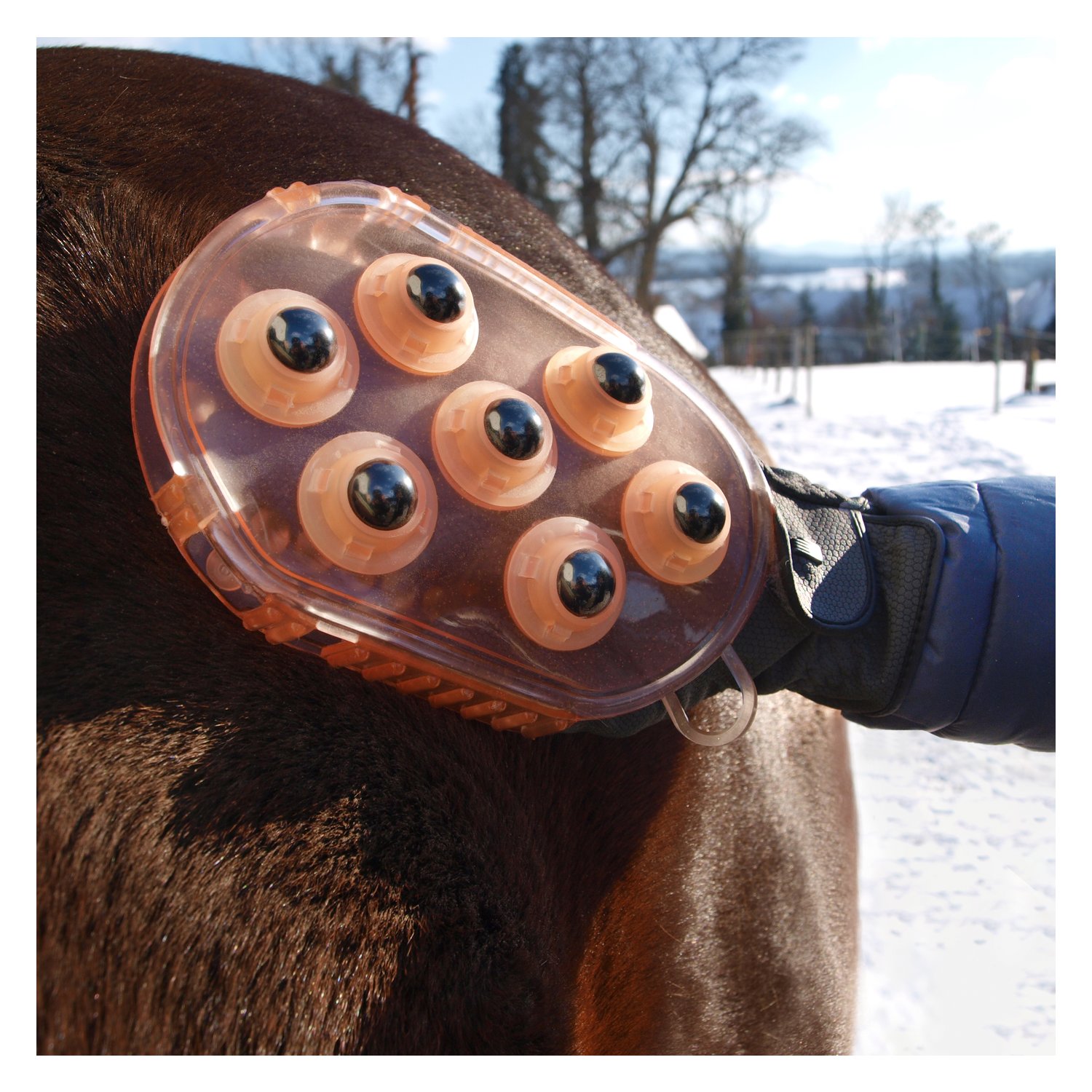 Horse-friends Massage- und Putzhandschuh – Ansicht 7