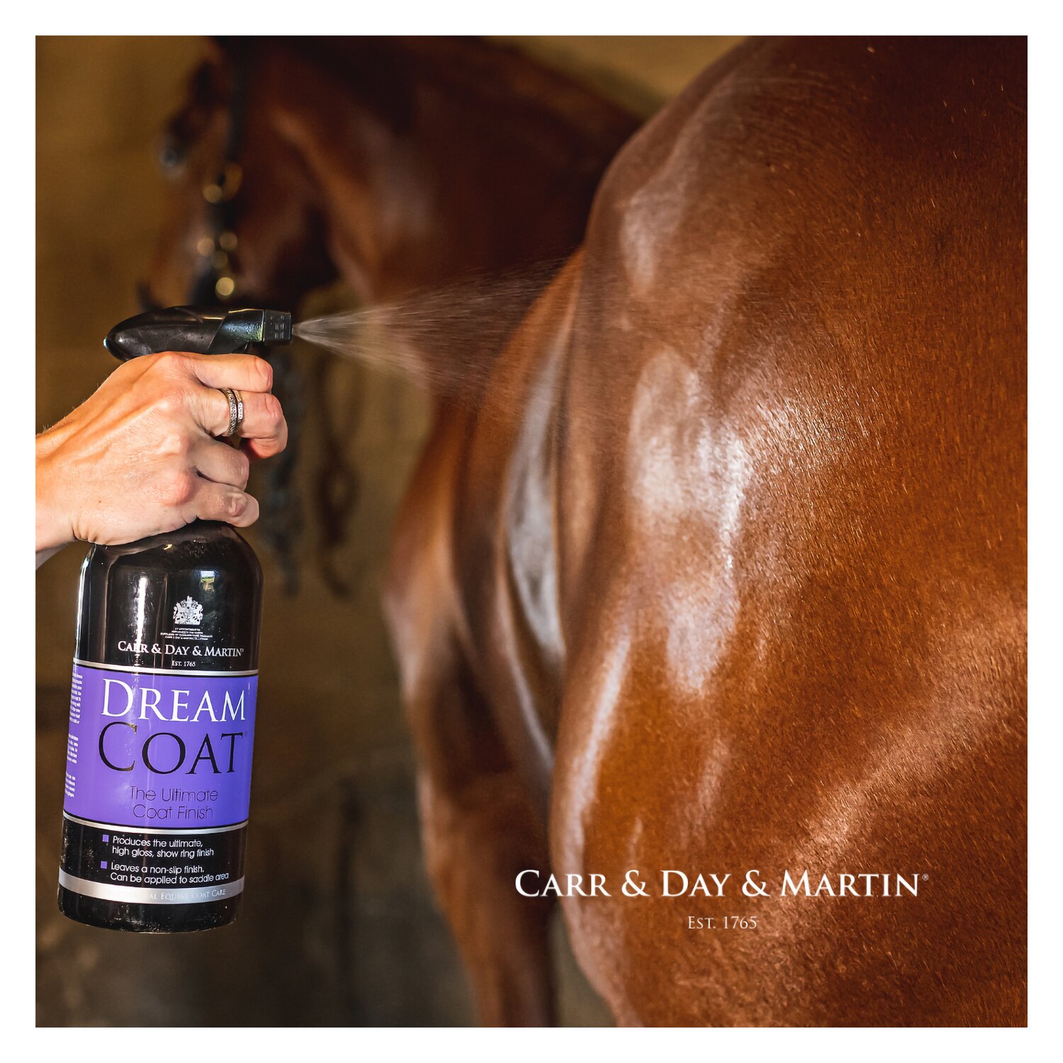 CARR & DAY & MARTIN Dreamcoat – Ansicht 2