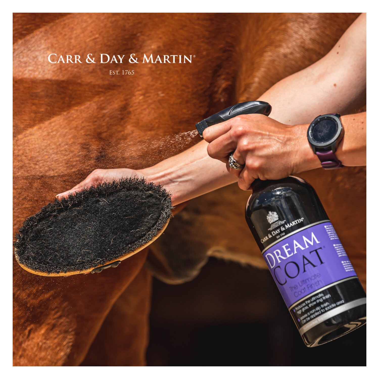 CARR & DAY & MARTIN Dreamcoat – Ansicht 3
