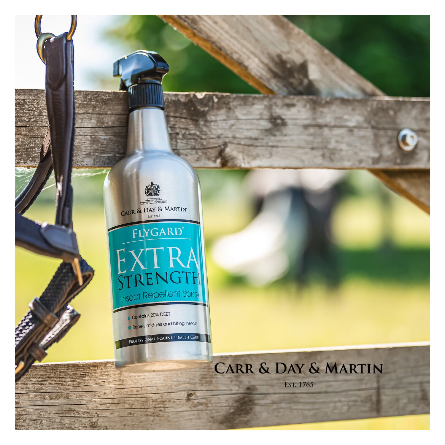 CARR & DAY & MARTIN Extra Stark Insektenschutzspray – Ansicht 2