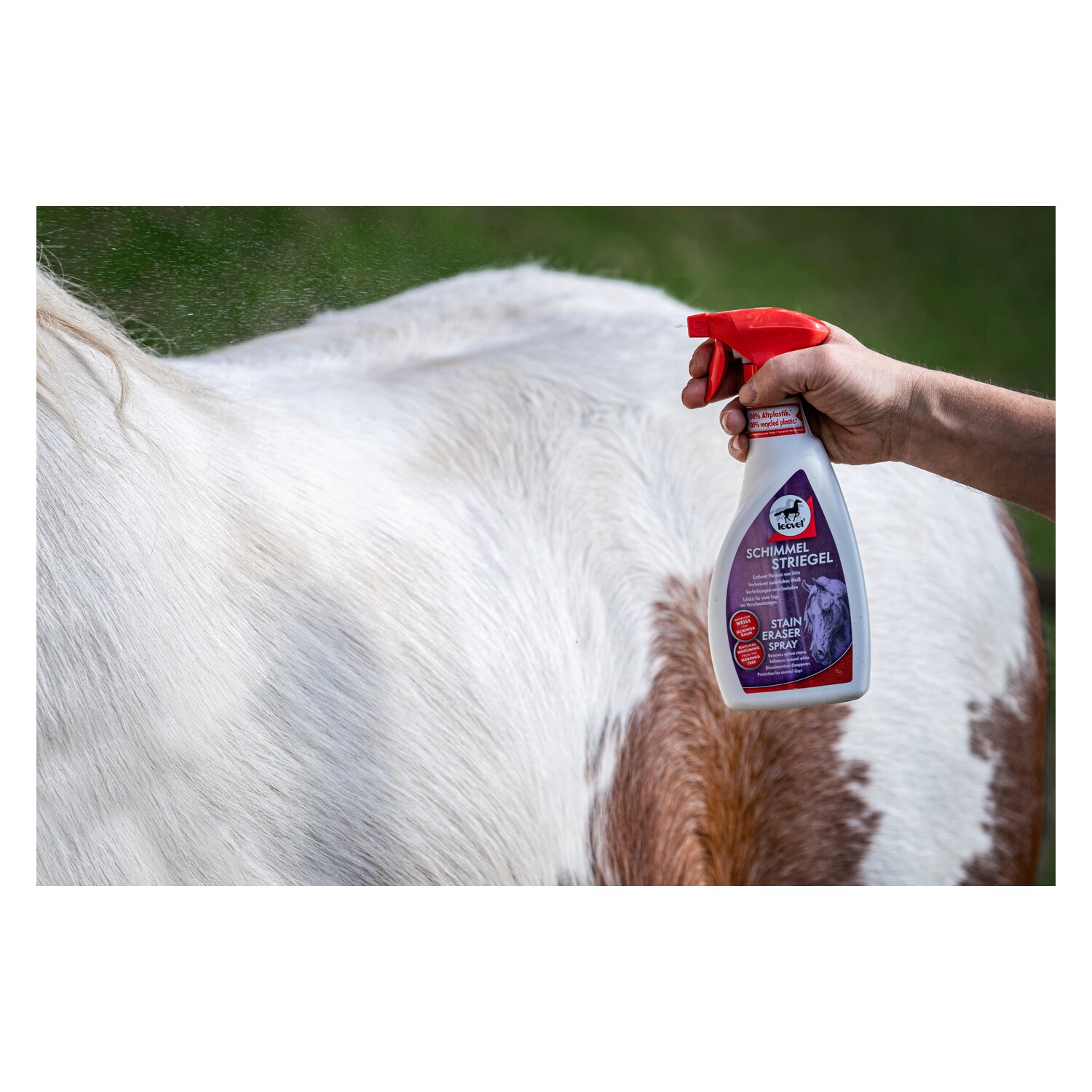 leovet Schimmel Striegel – Ansicht 3