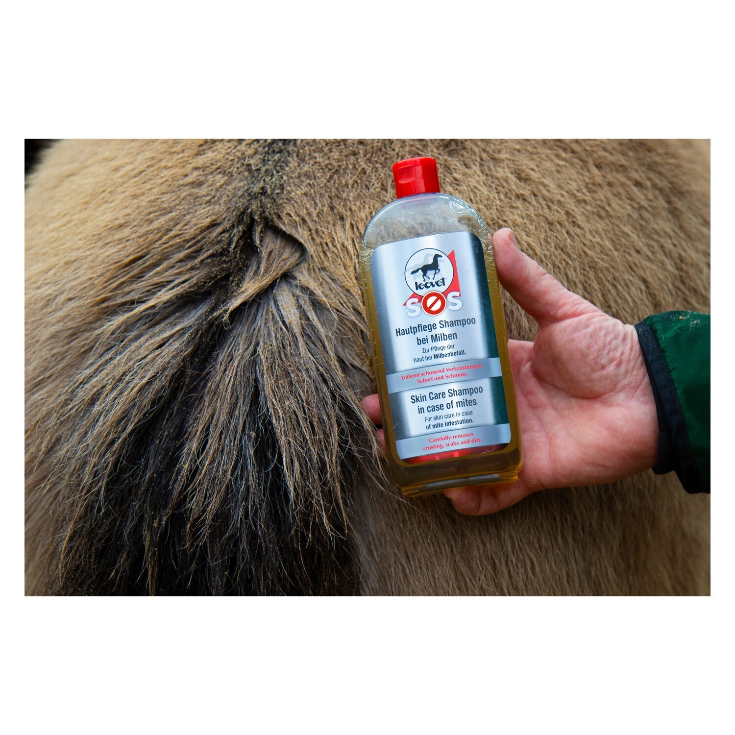 leovet SOS Shampoo bei Milben – Ansicht 2