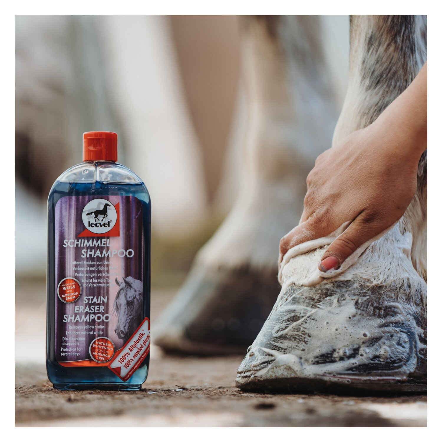 leovet Milton-Weiß Schimmel Shampoo – Ansicht 2