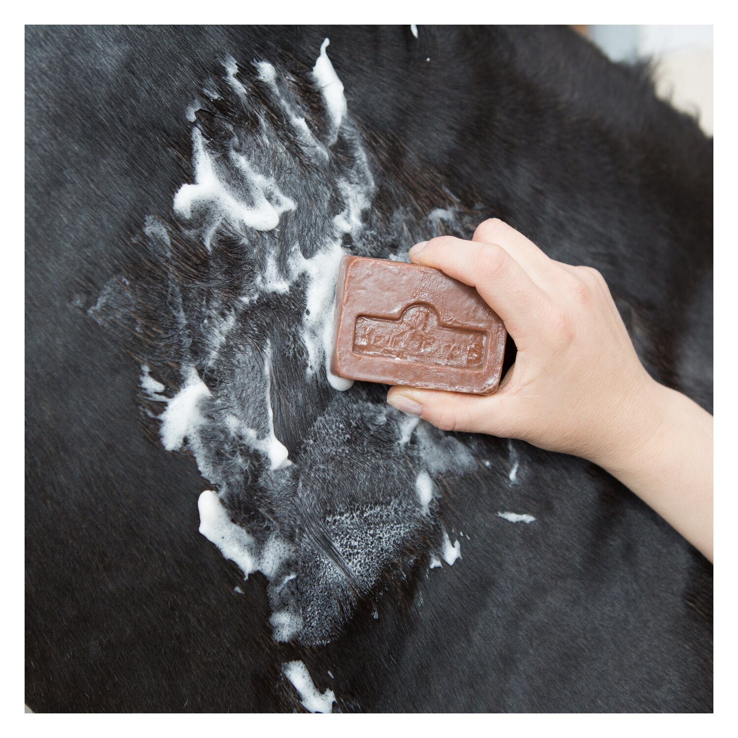 Kevin Bacon's Active Soap – Ansicht 3